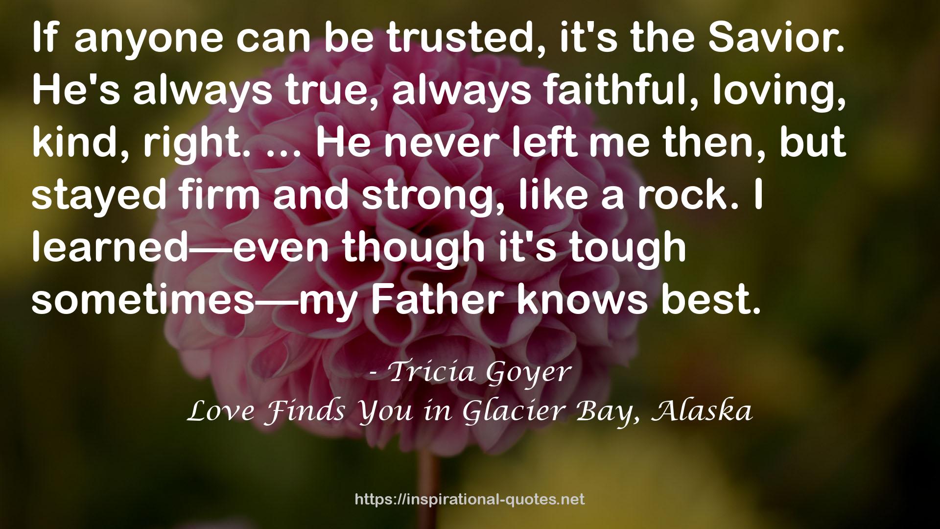 Love Finds You in Glacier Bay, Alaska QUOTES
