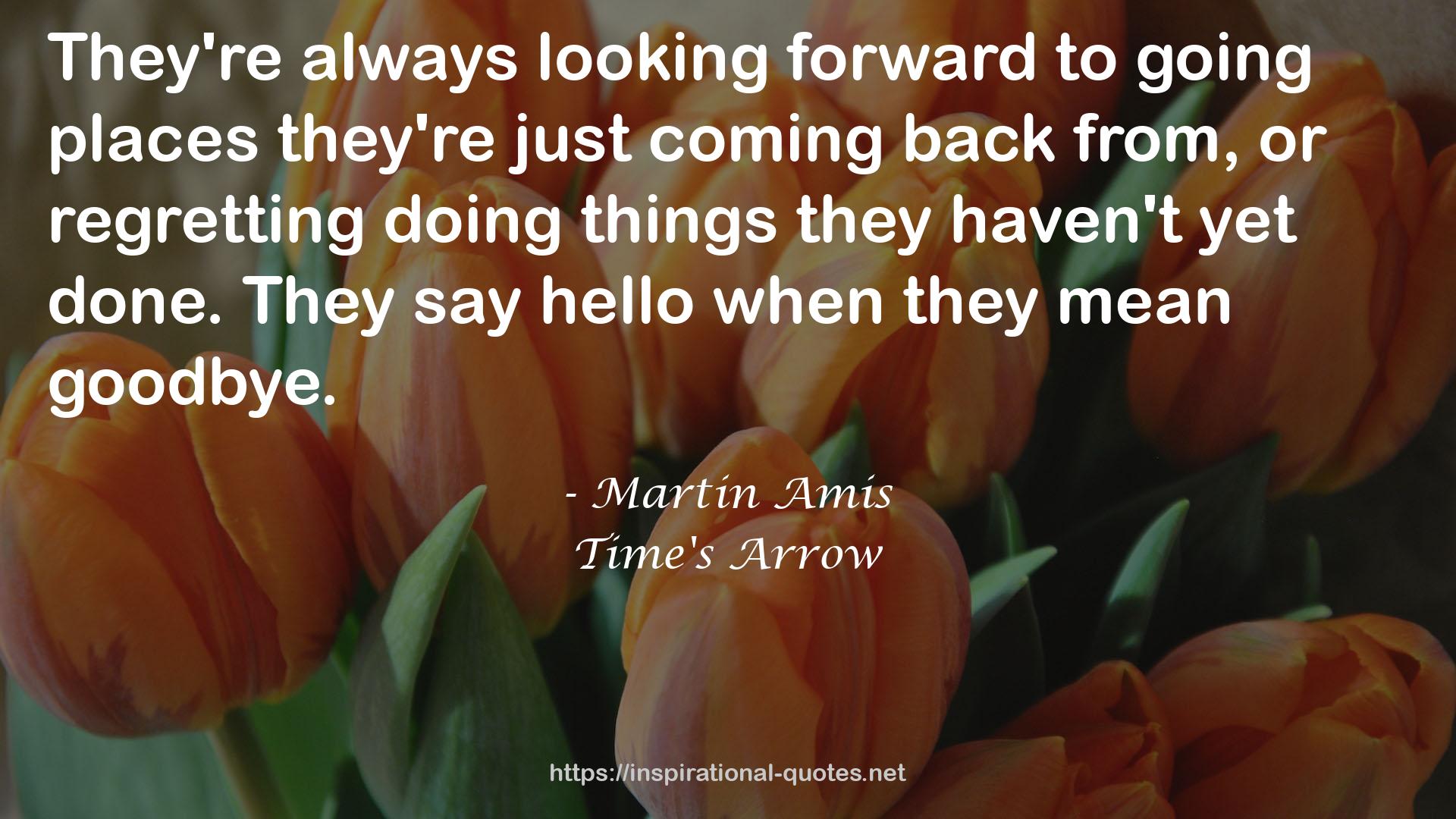 Martin Amis QUOTES