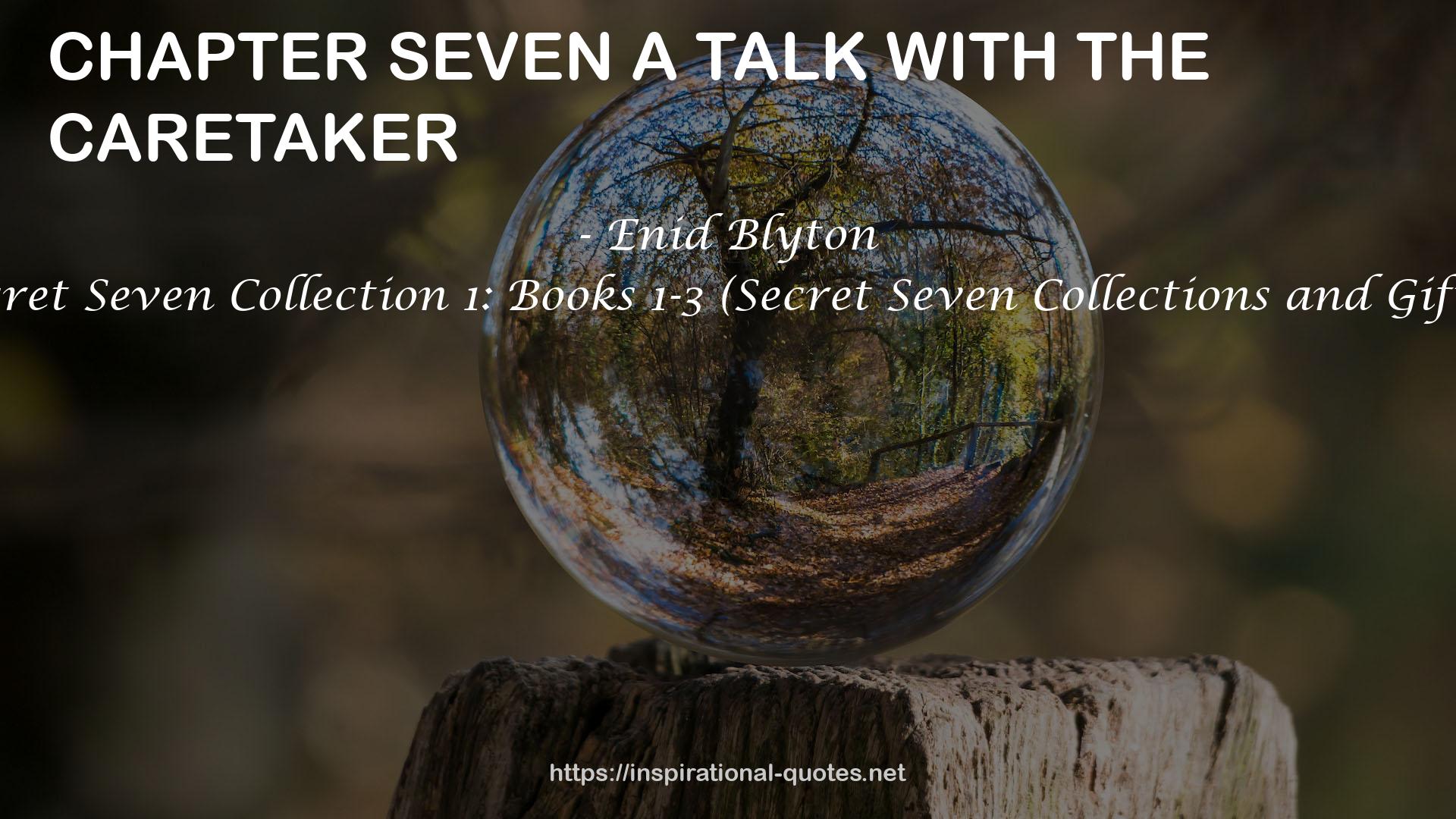 The Secret Seven Collection 1: Books 1-3 (Secret Seven Collections and Gift books) QUOTES