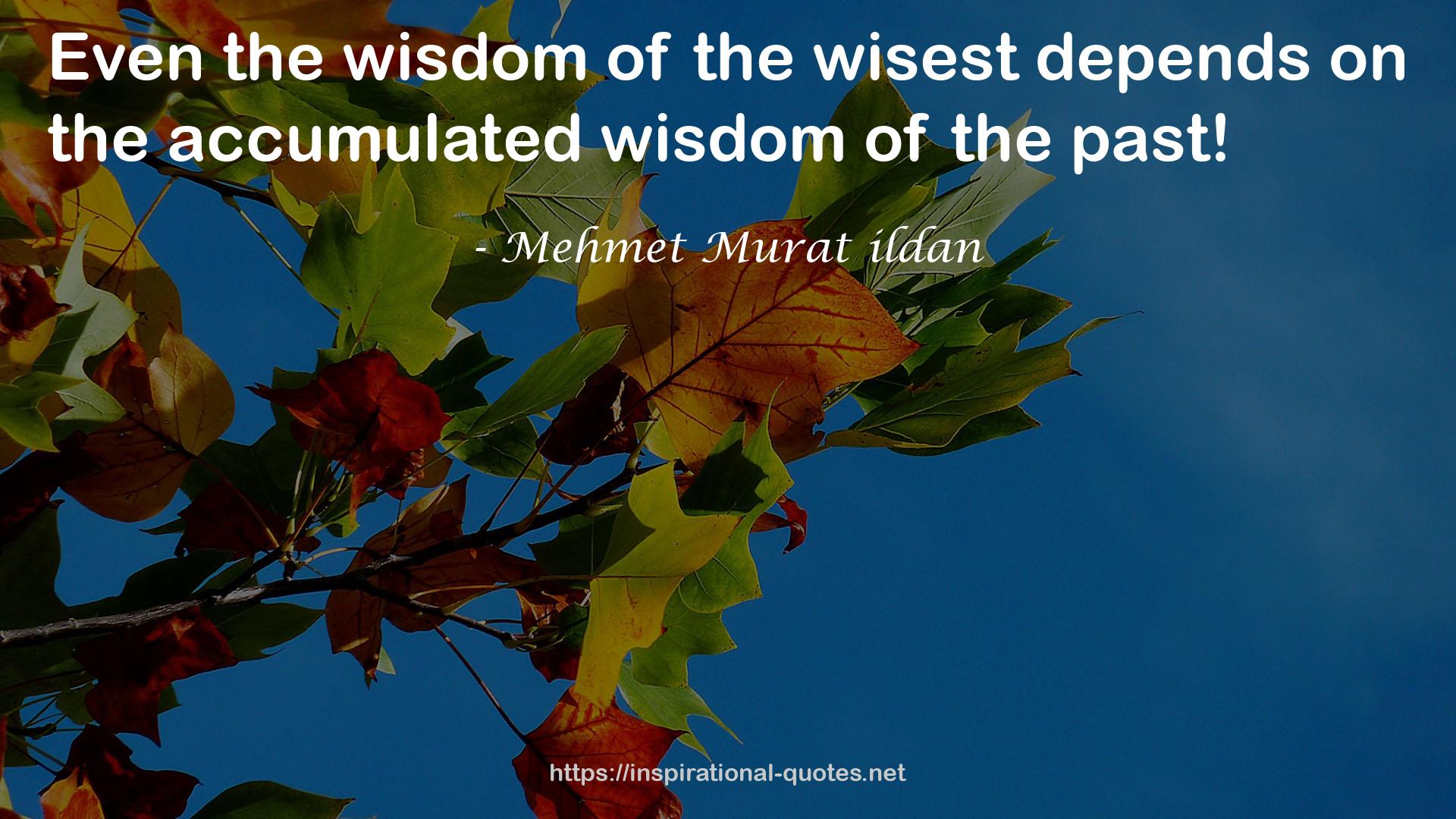 the accumulated wisdom  QUOTES