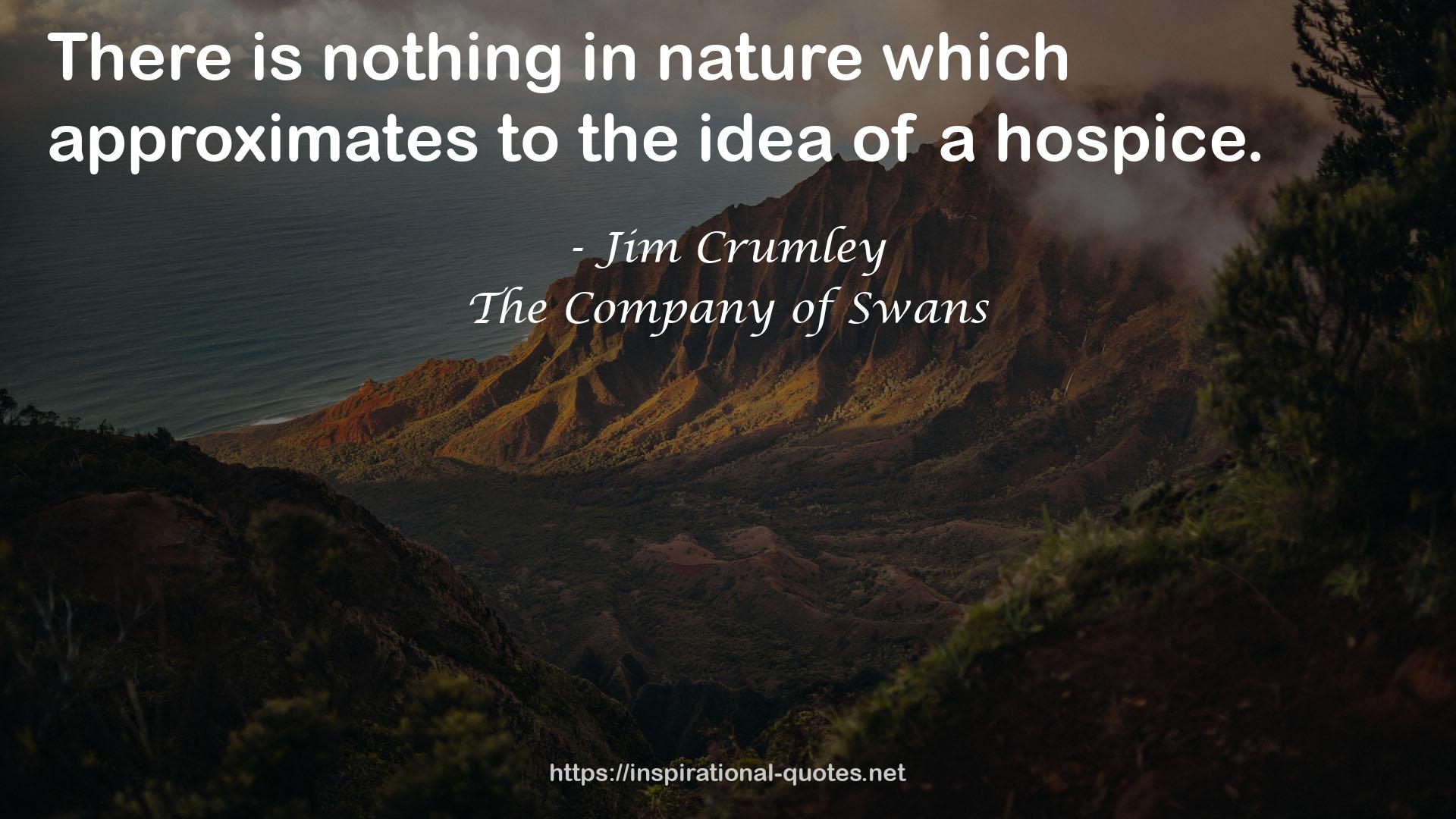 The Company of Swans QUOTES