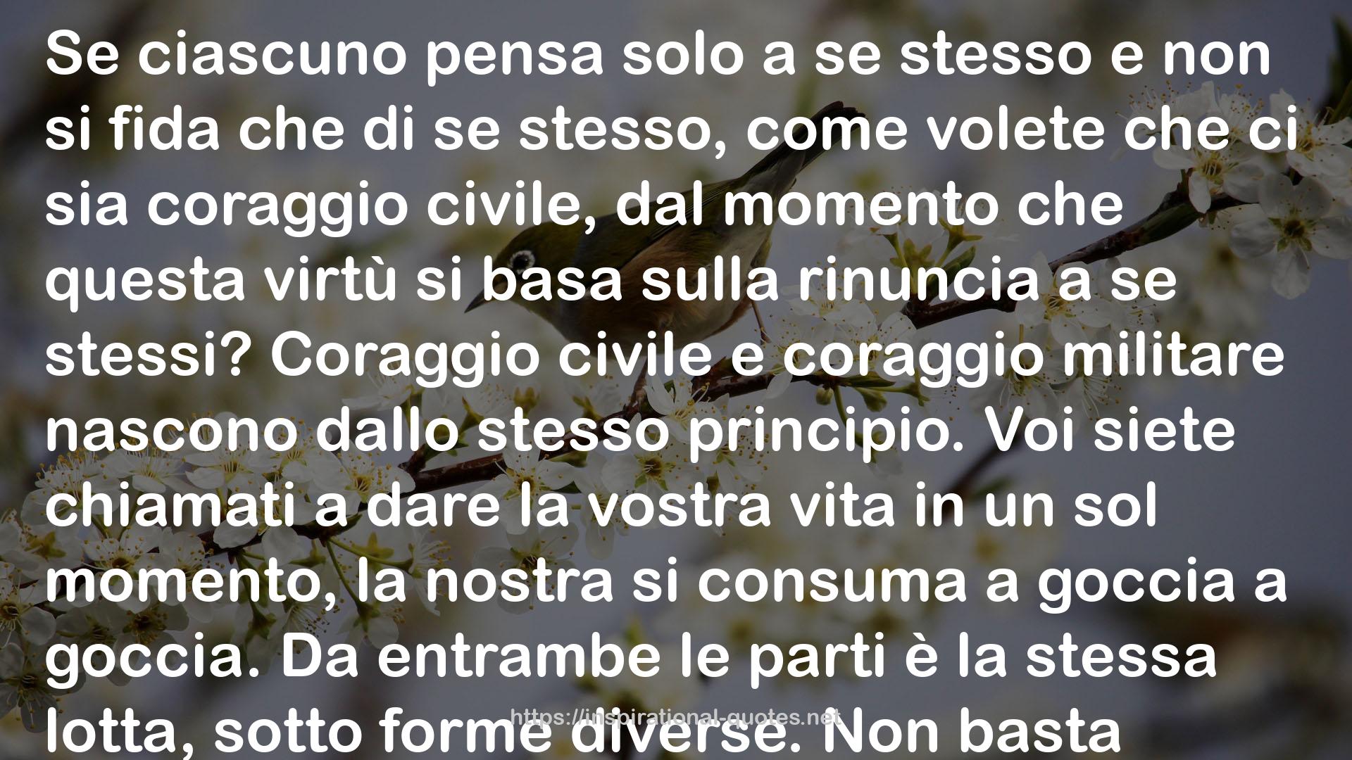 più  QUOTES