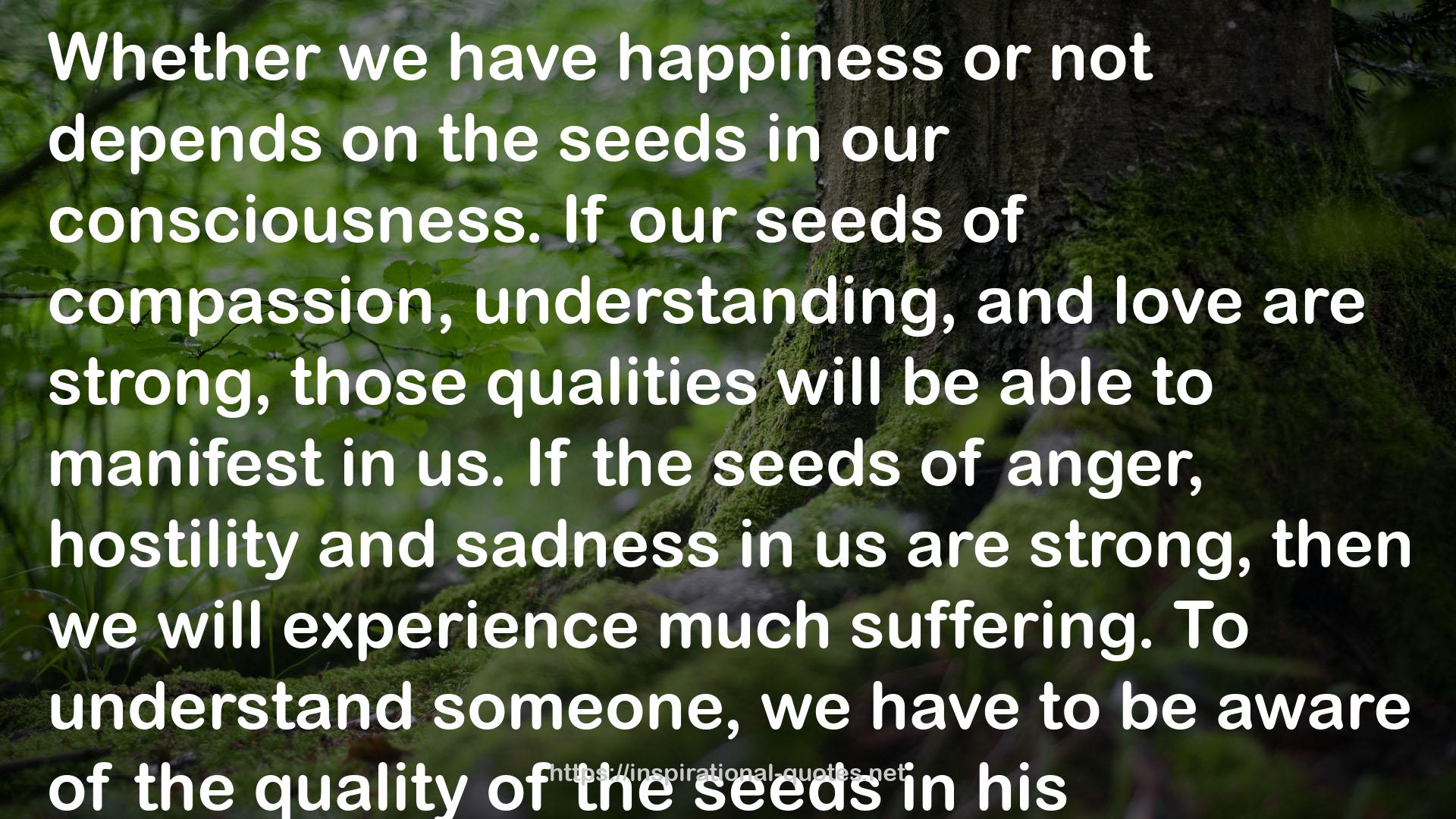 Your True Home: The Everyday Wisdom of Thich Nhat Hanh: 365 days of practical, powerful teachings from the beloved Zen teacher QUOTES