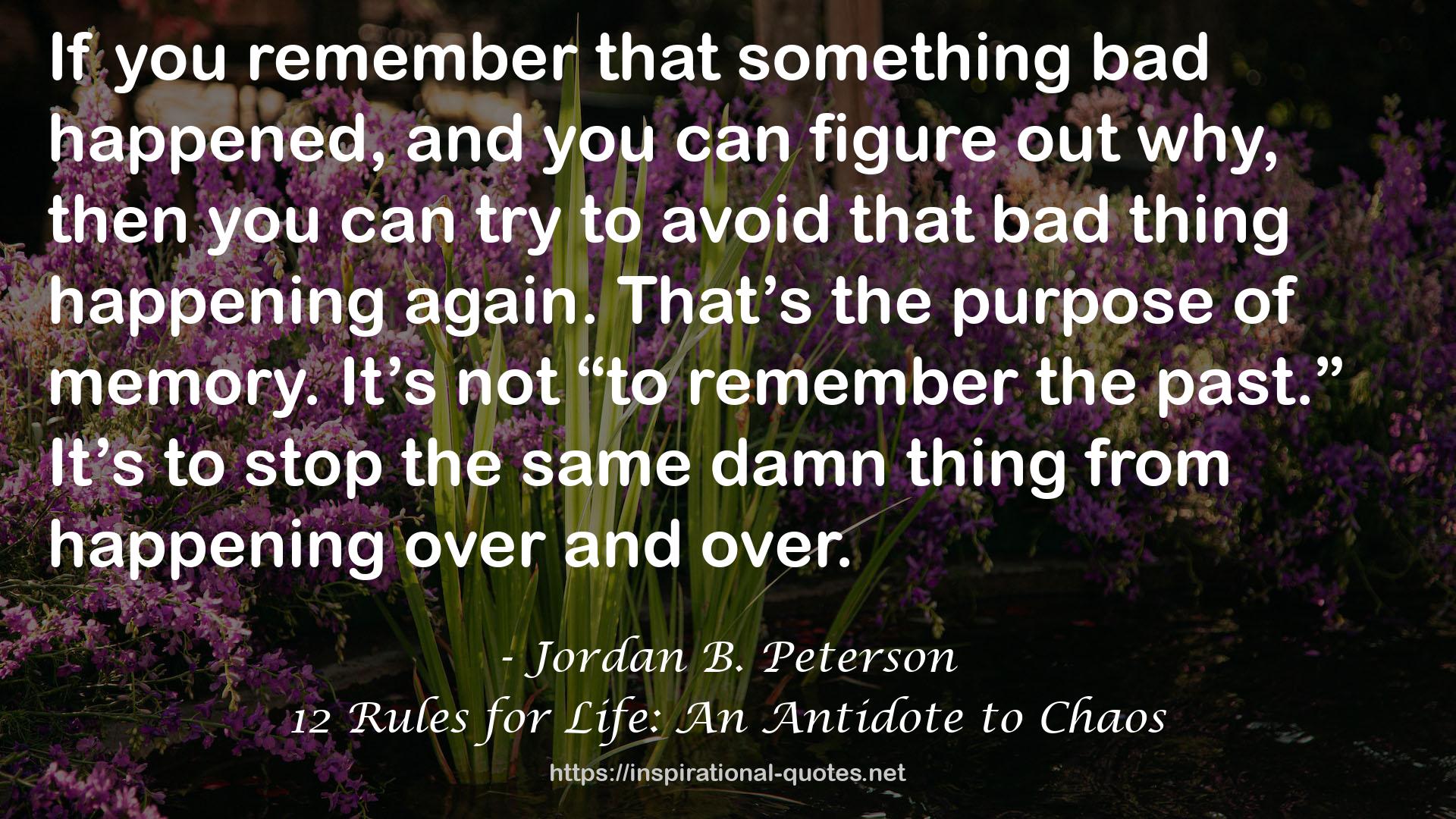 12 Rules for Life: An Antidote to Chaos QUOTES