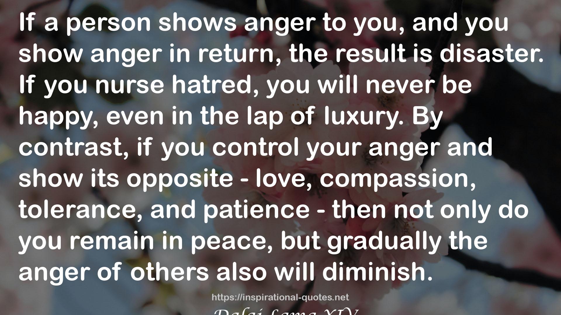 your anger  QUOTES