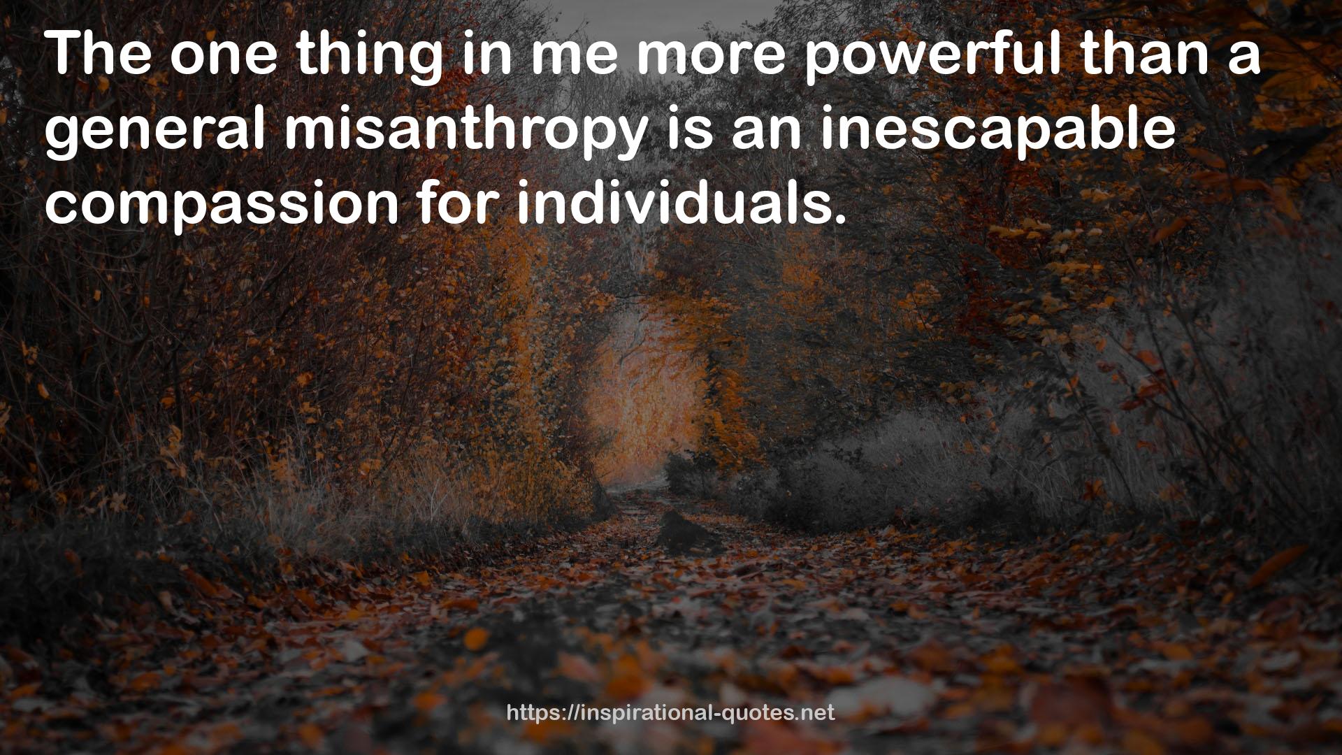 an inescapable compassion  QUOTES