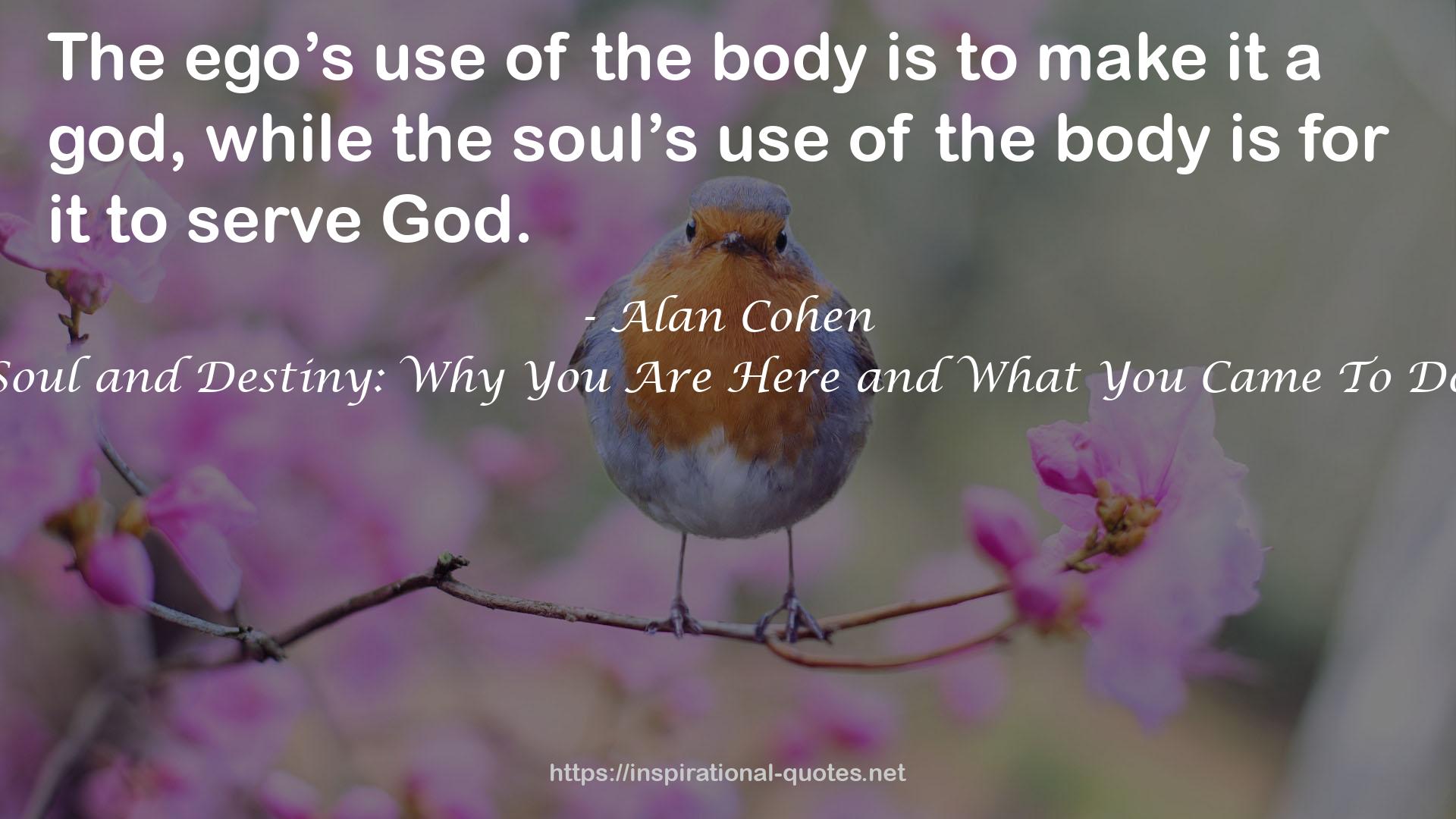 Soul and Destiny: Why You Are Here and What You Came To Do QUOTES