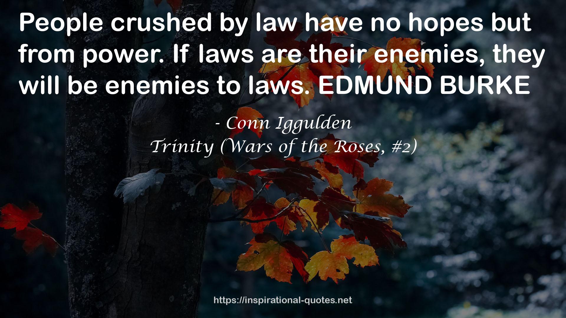 Trinity (Wars of the Roses, #2) QUOTES