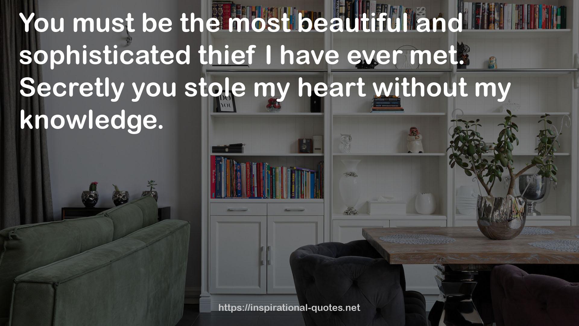 the most beautiful and sophisticated thief  QUOTES