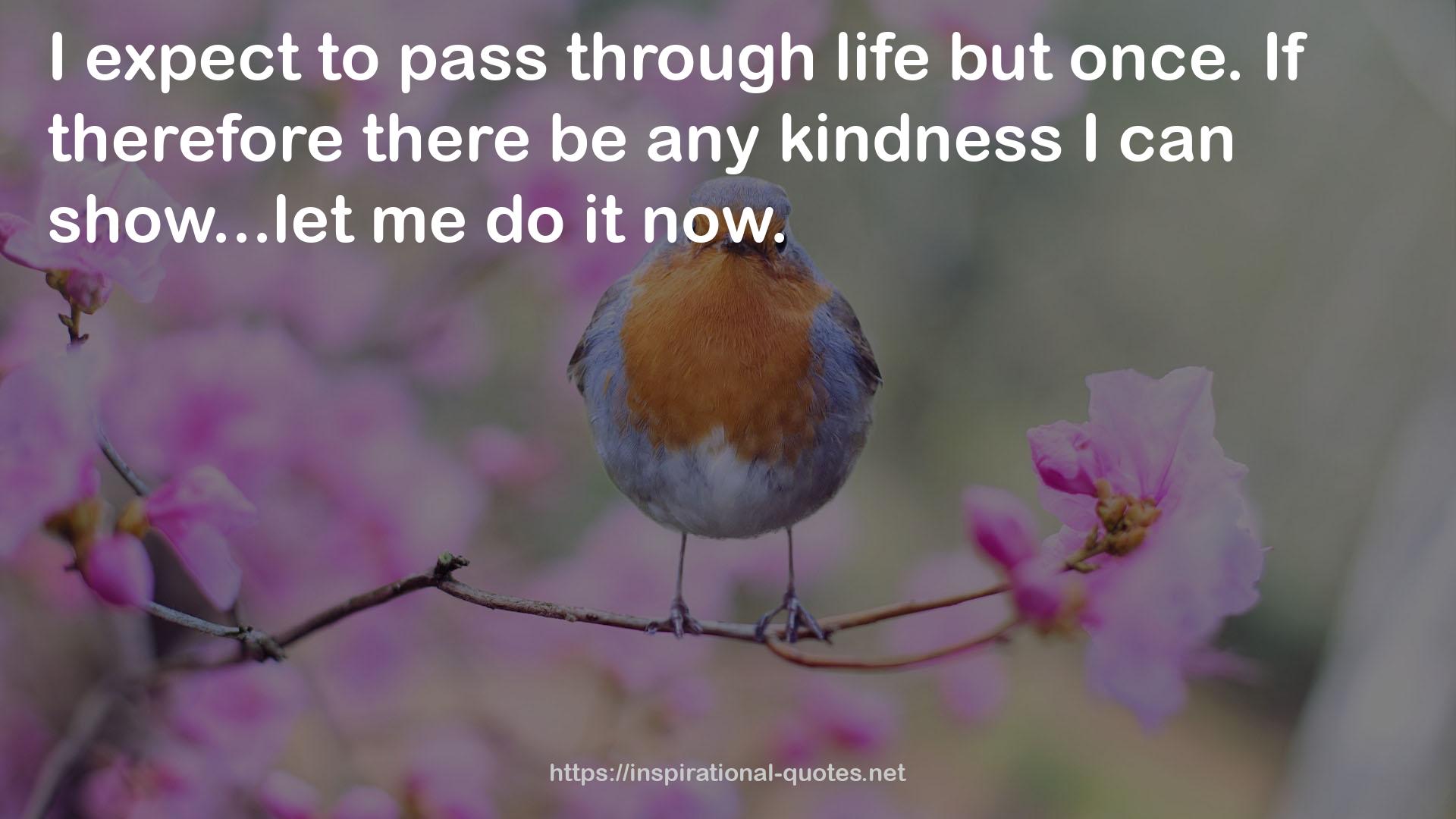any kindness  QUOTES