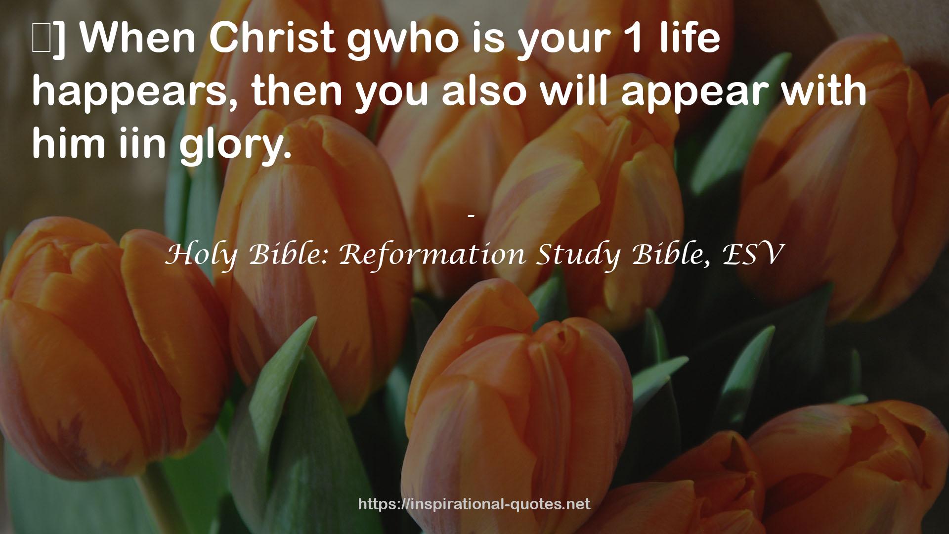 Holy Bible: Reformation Study Bible, ESV QUOTES
