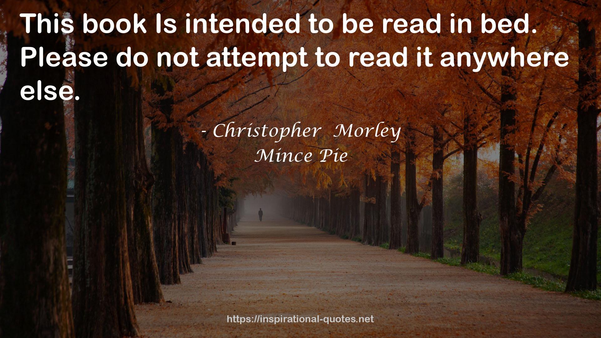 Mince Pie QUOTES