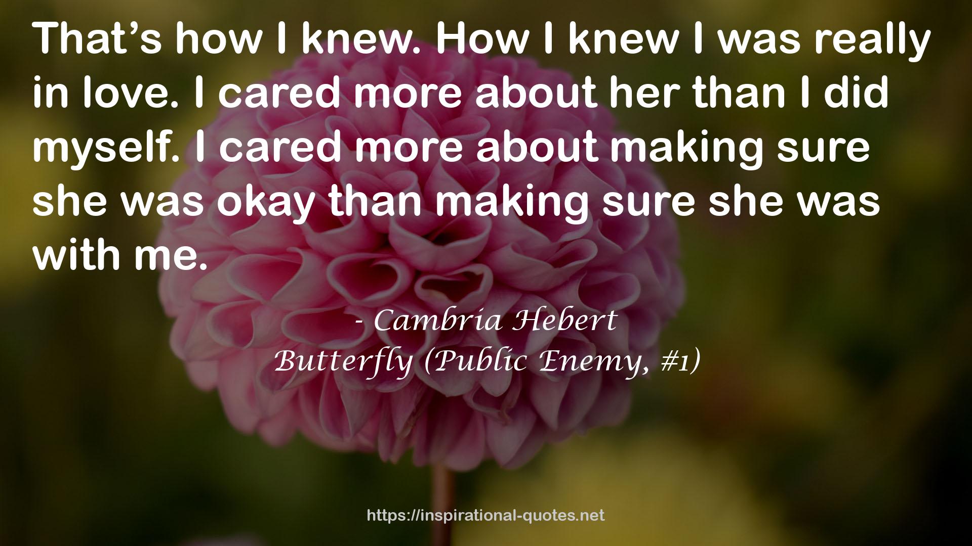Butterfly (Public Enemy, #1) QUOTES