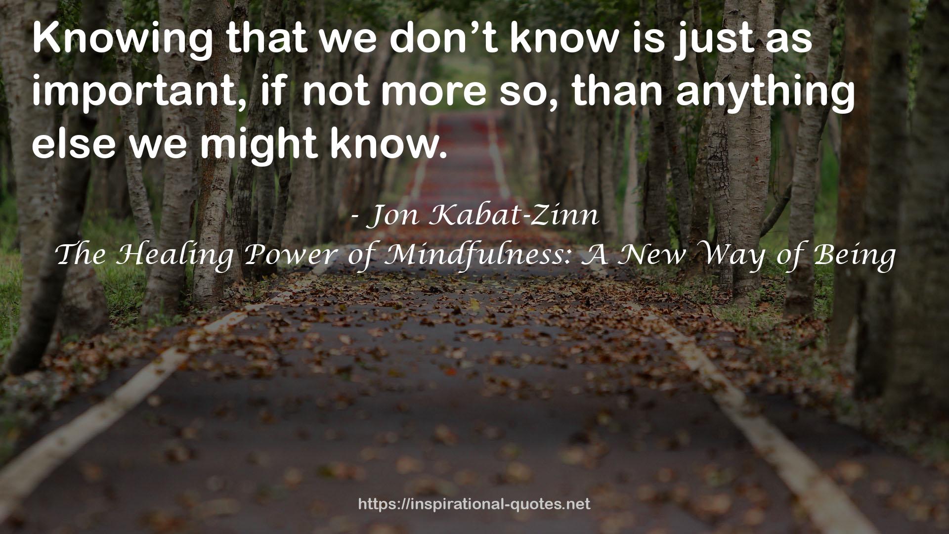 The Healing Power of Mindfulness: A New Way of Being QUOTES