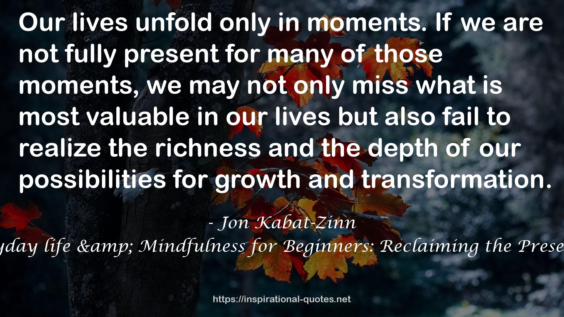 Wherever You Go There You Are: Mindfulness meditation for everyday life & Mindfulness for Beginners: Reclaiming the Present Moment and Your Life By Jon Kabat-Zinn 2 Books Collection Set QUOTES