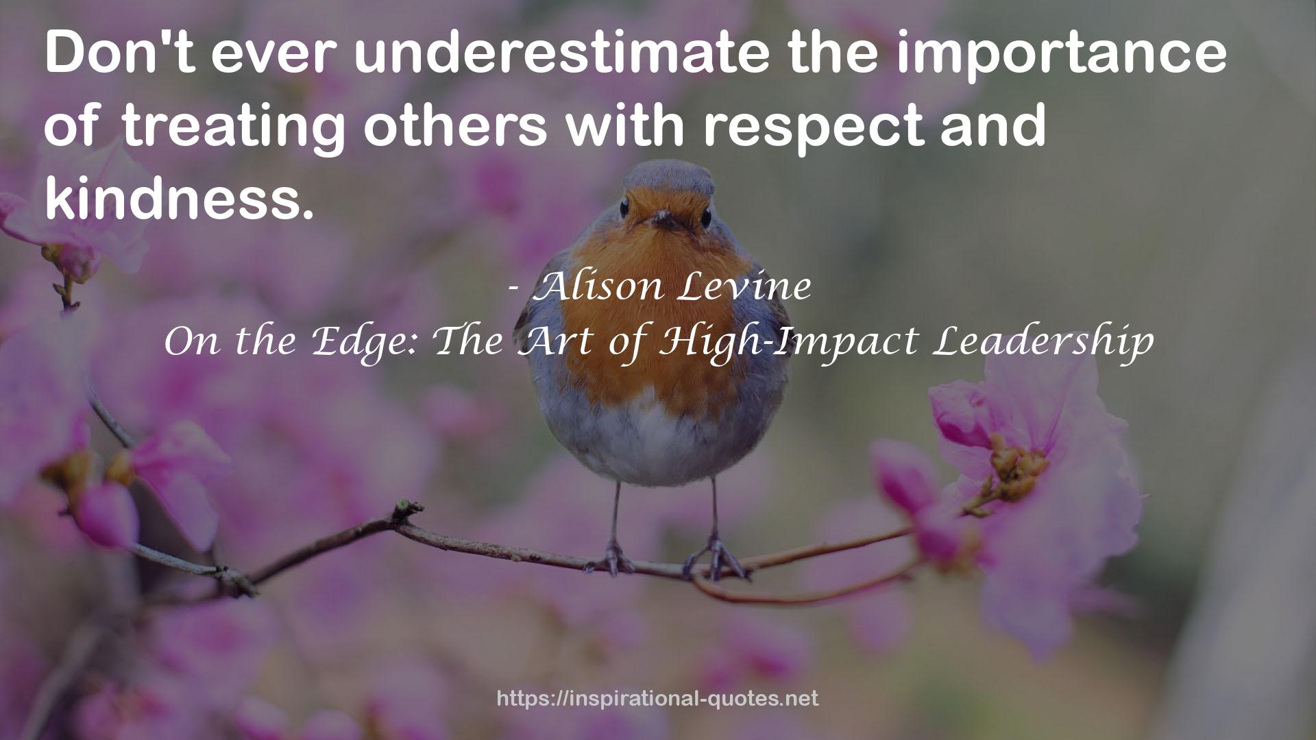 Alison Levine QUOTES