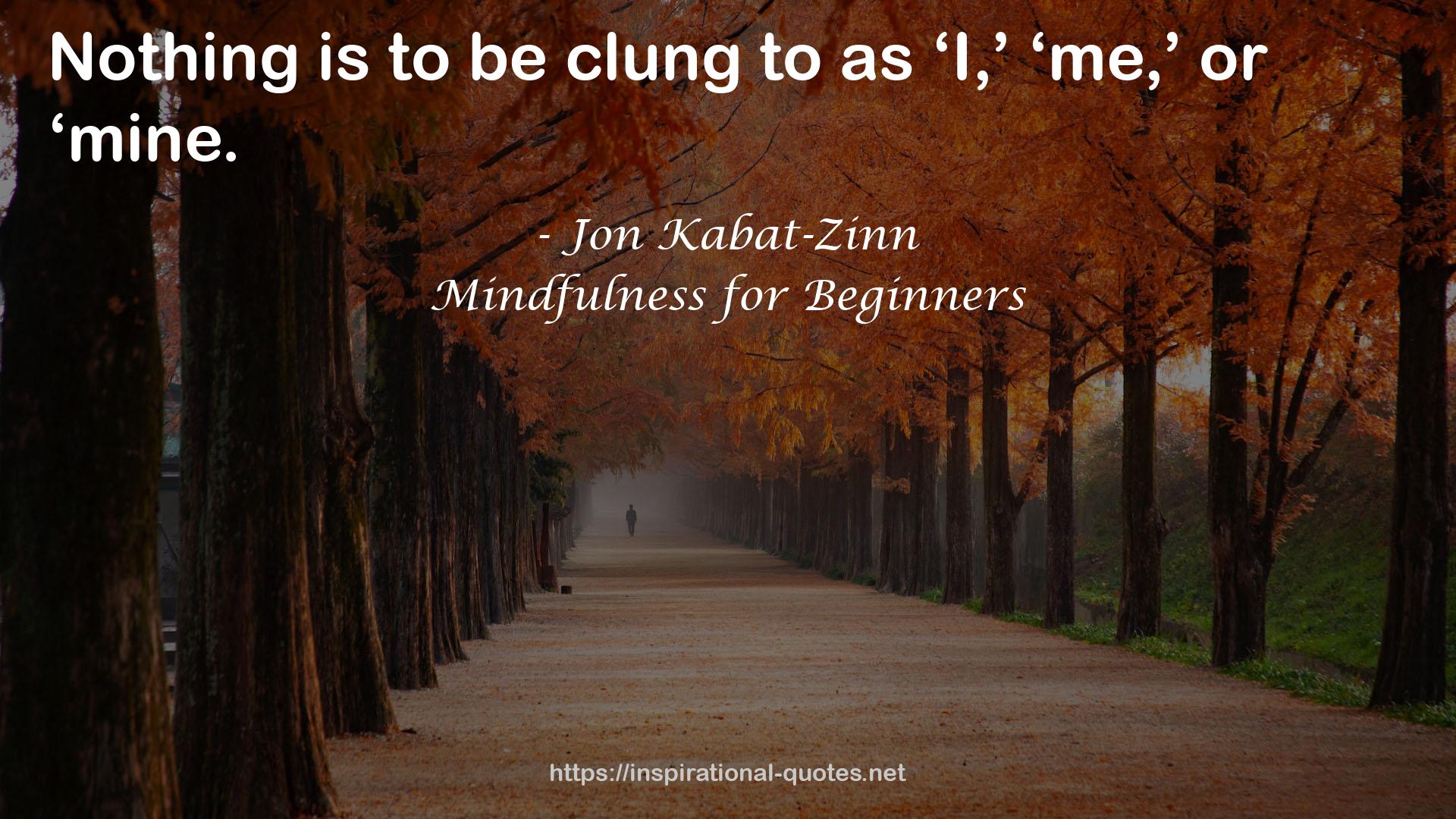 Mindfulness for Beginners QUOTES