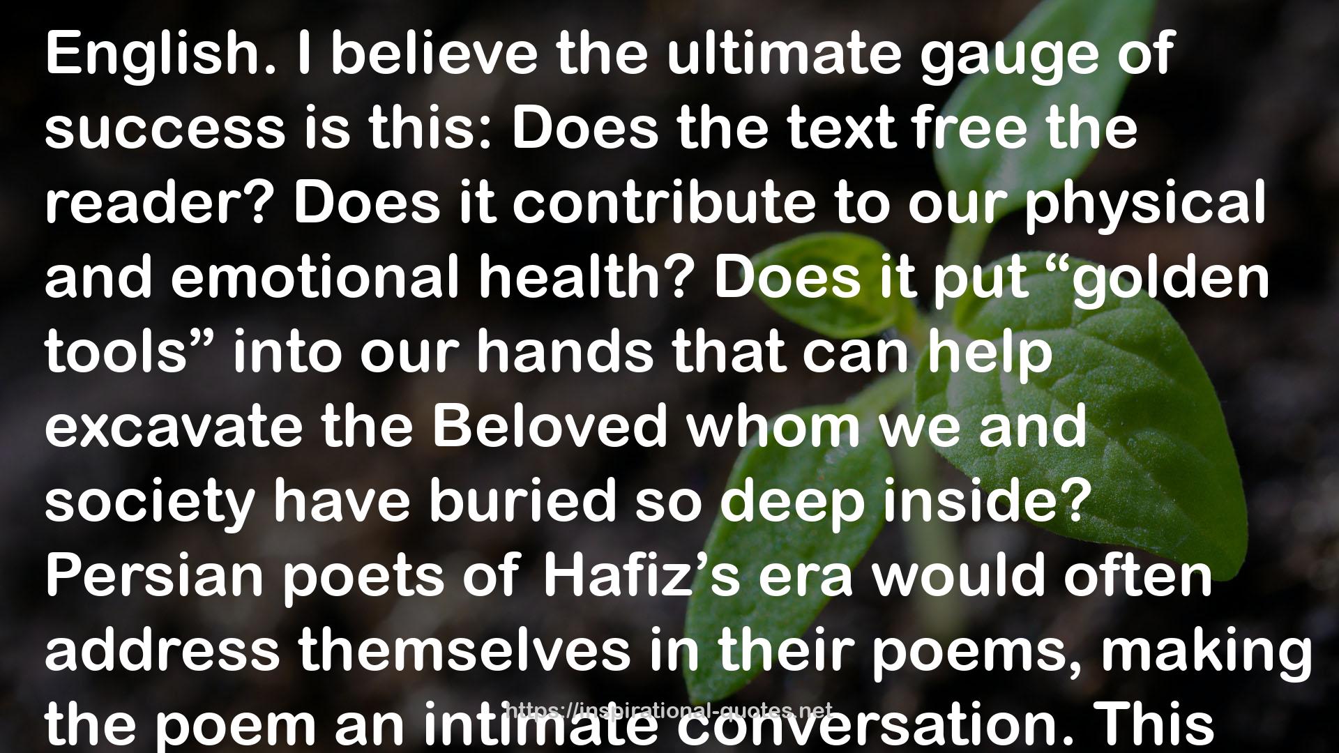 Hafez QUOTES