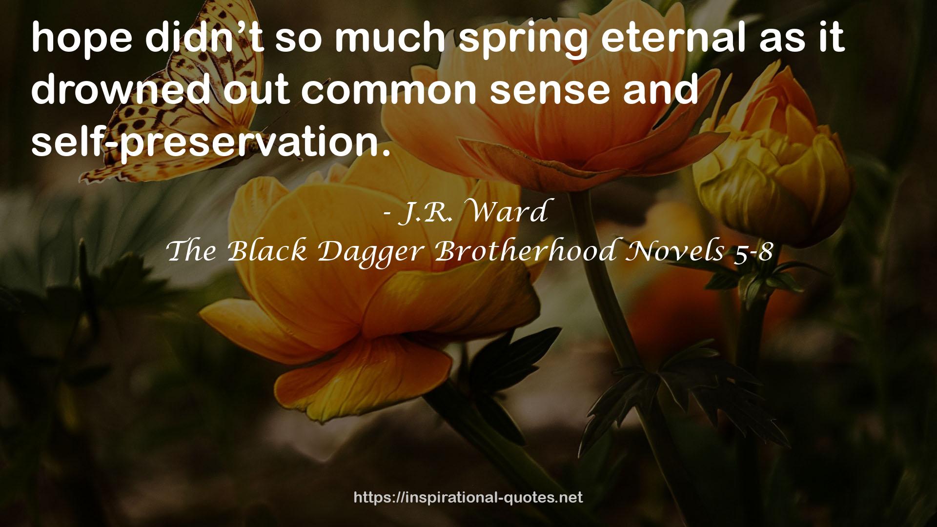 The Black Dagger Brotherhood Novels 5-8 QUOTES