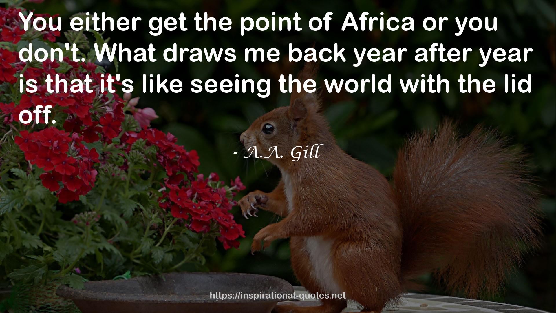 A.A. Gill QUOTES