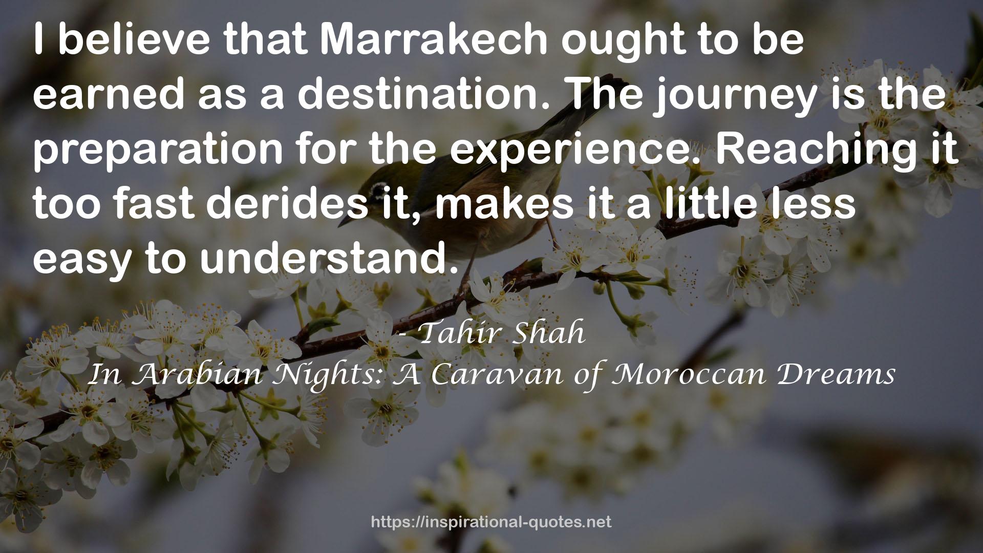 Marrakech  QUOTES