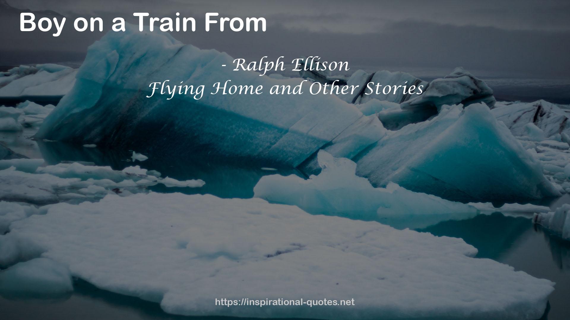 Flying Home and Other Stories QUOTES
