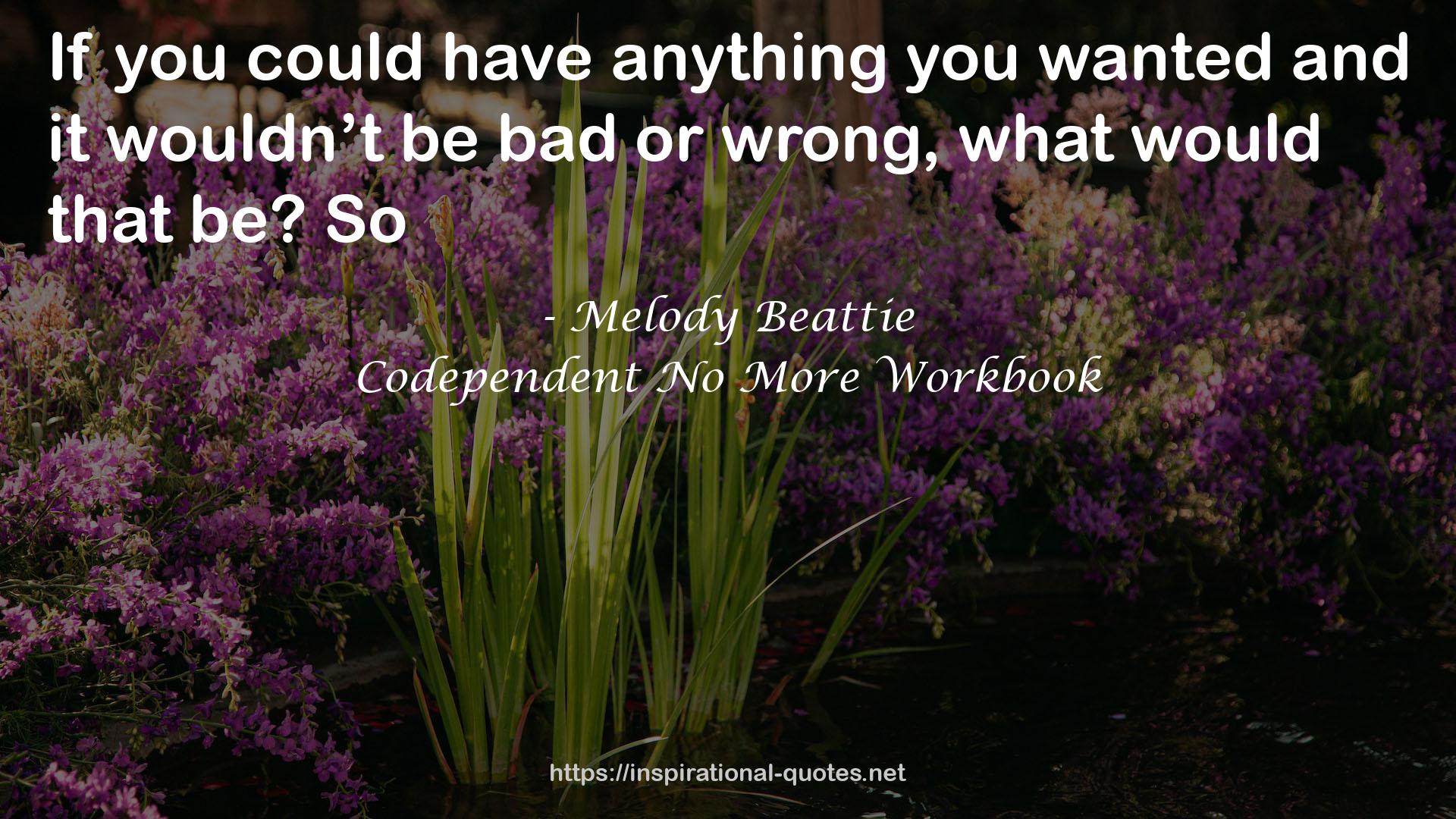 Codependent No More Workbook QUOTES