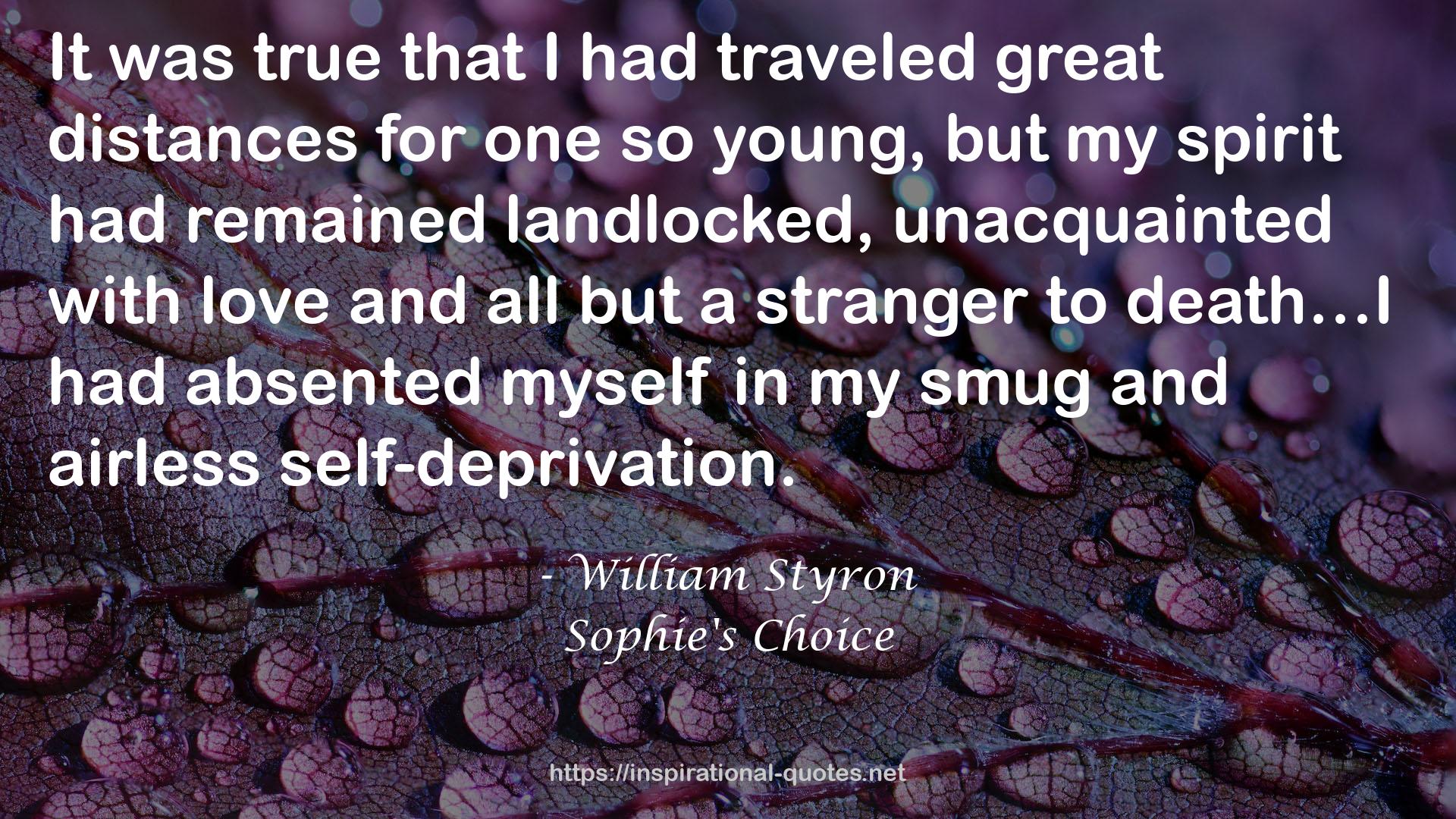 Sophie's Choice QUOTES