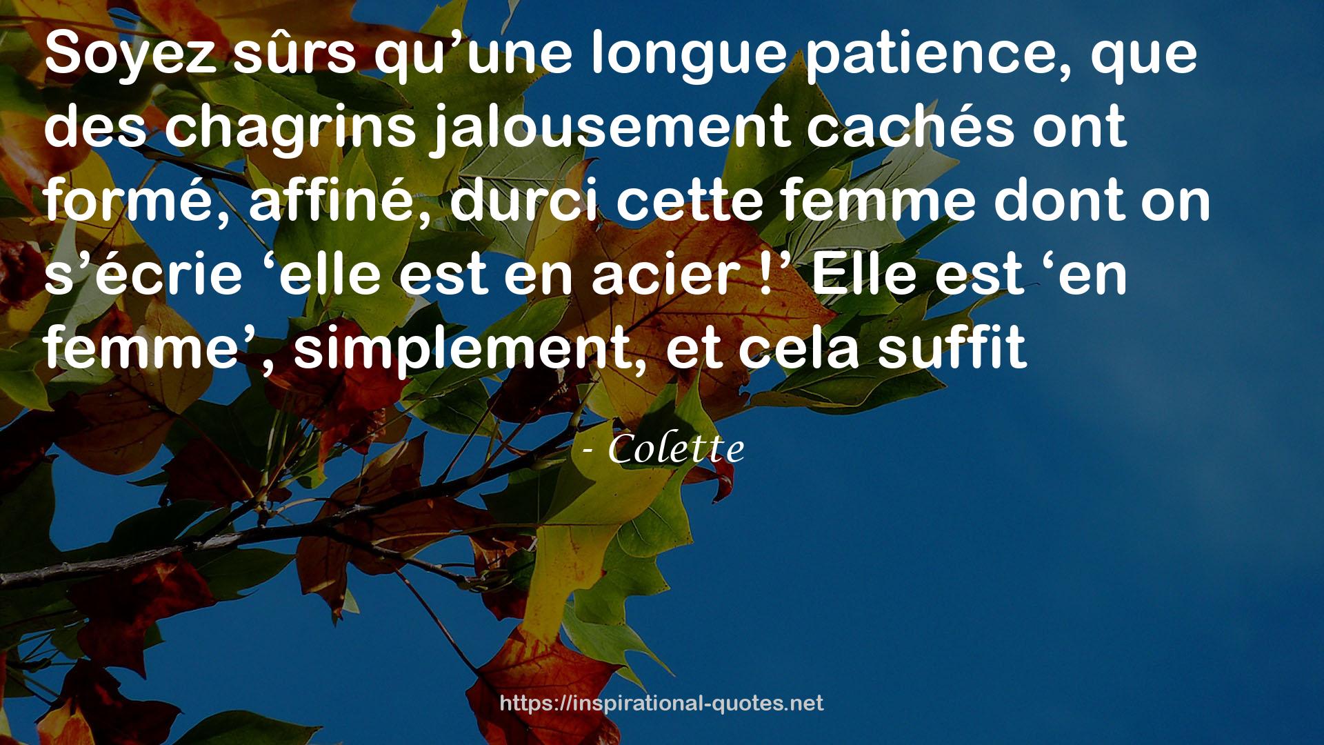 Colette QUOTES