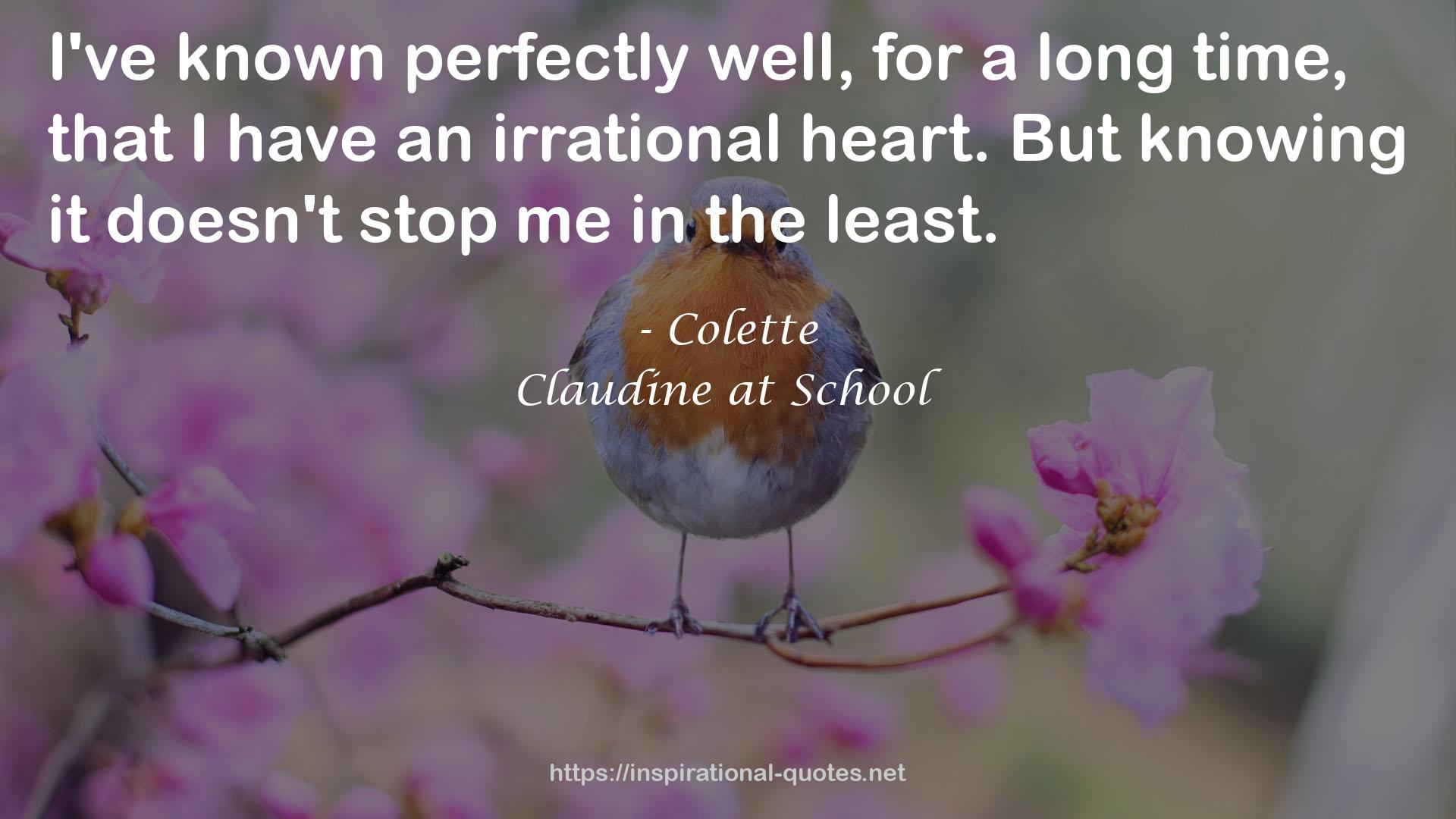 Colette QUOTES