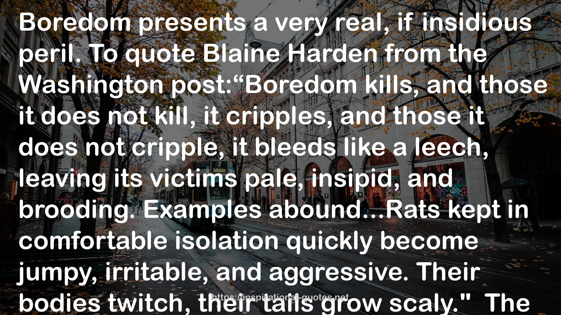 Blaine  QUOTES