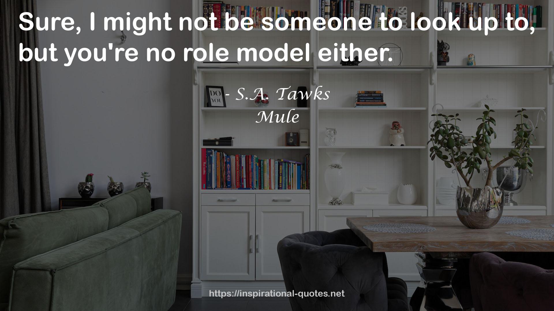 no role model  QUOTES