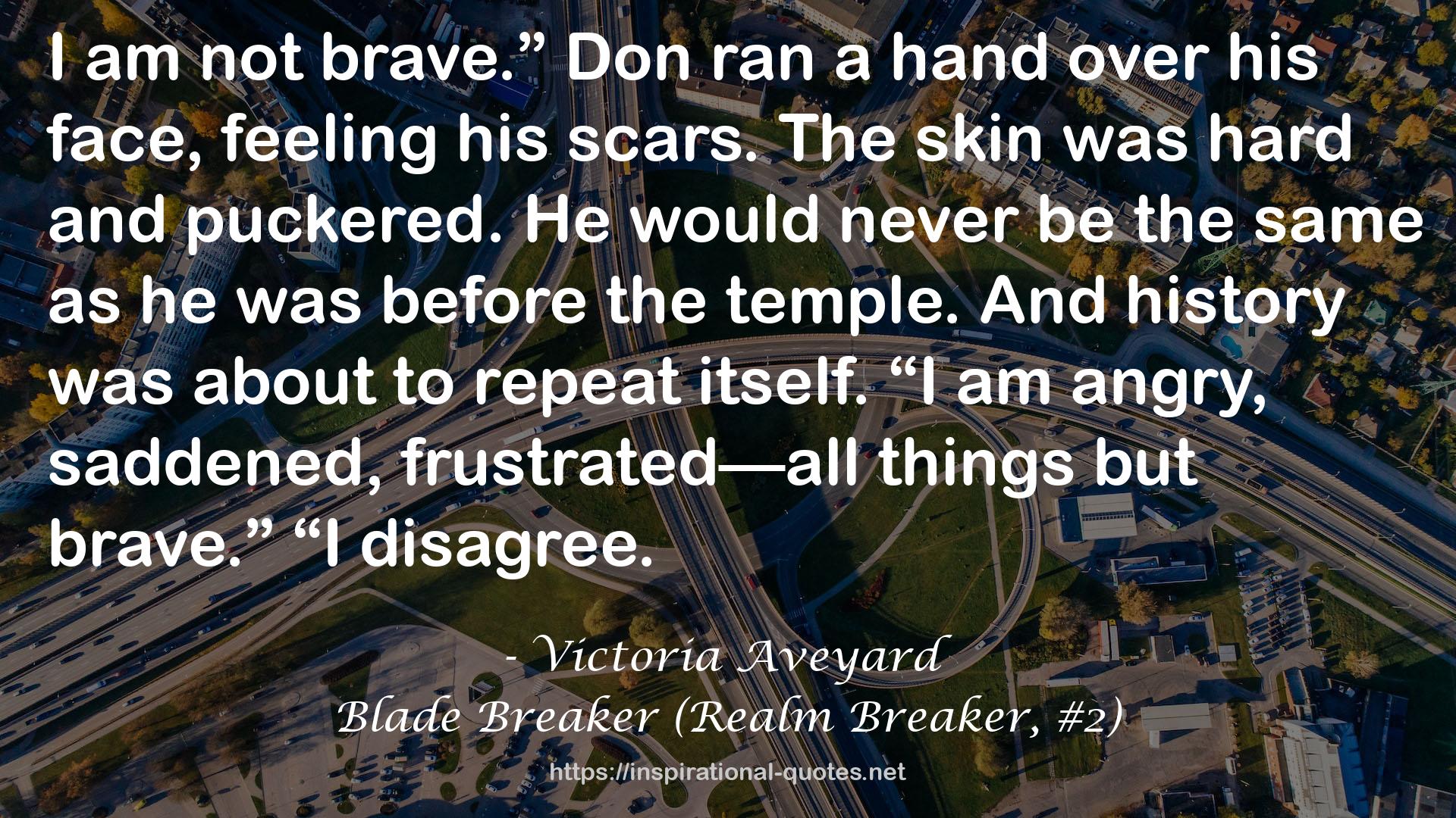 Blade Breaker (Realm Breaker, #2) QUOTES