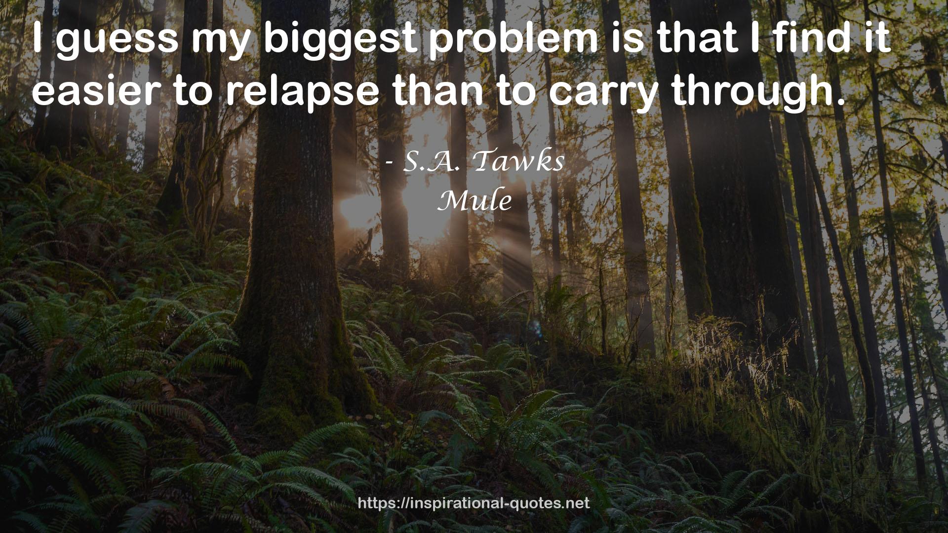 my biggest problem  QUOTES