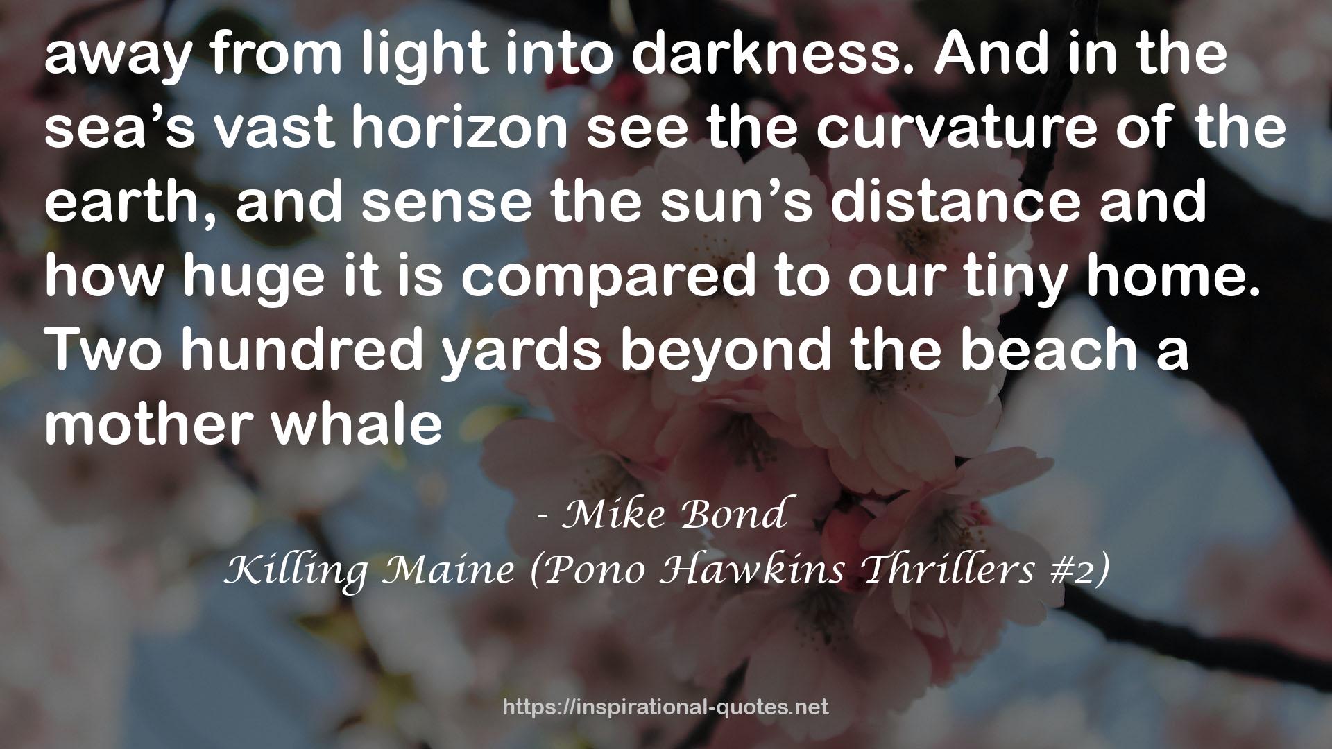 Killing Maine (Pono Hawkins Thrillers #2) QUOTES