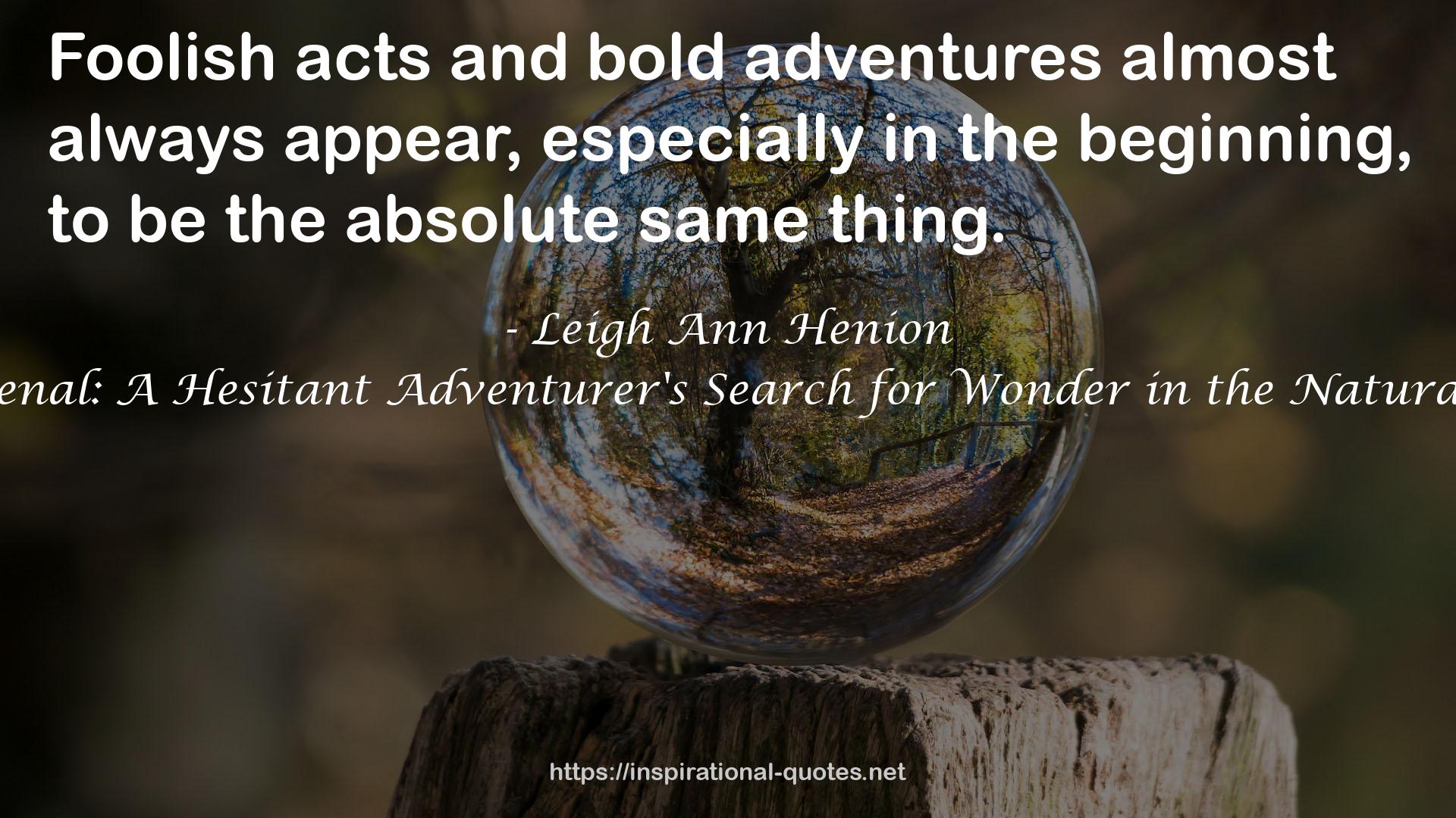 bold adventures  QUOTES
