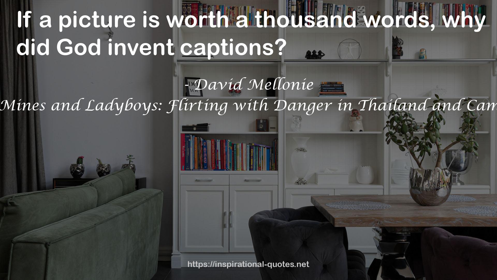 Land Mines and Ladyboys: Flirting with Danger in Thailand and Cambodia QUOTES