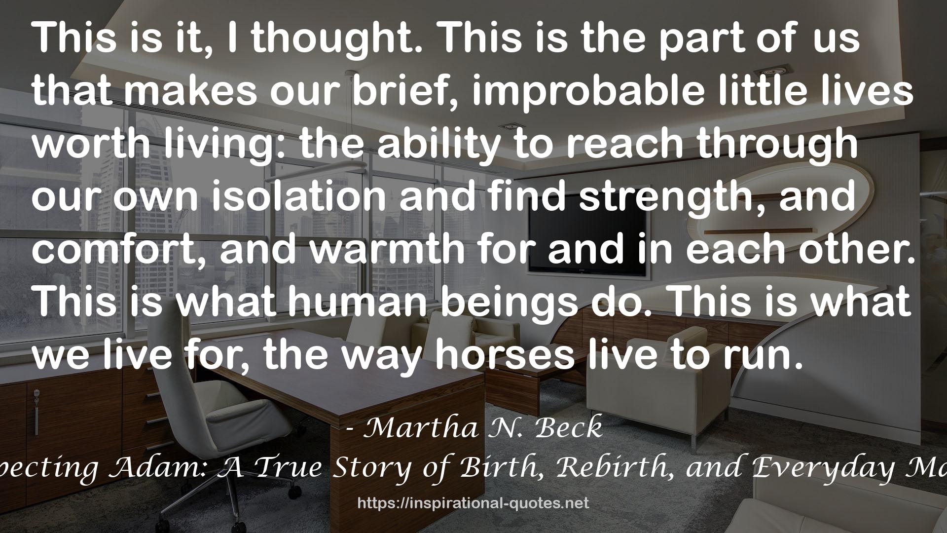 Martha N. Beck QUOTES