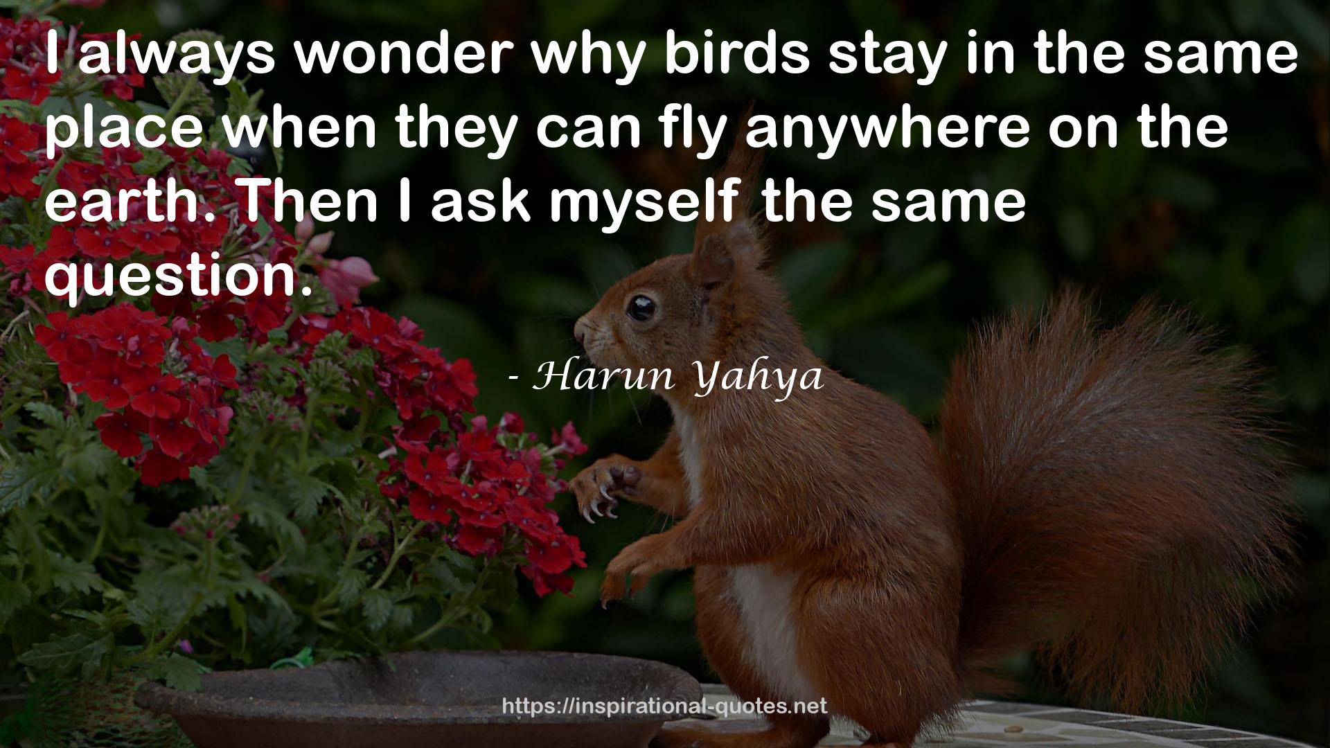 Harun Yahya QUOTES