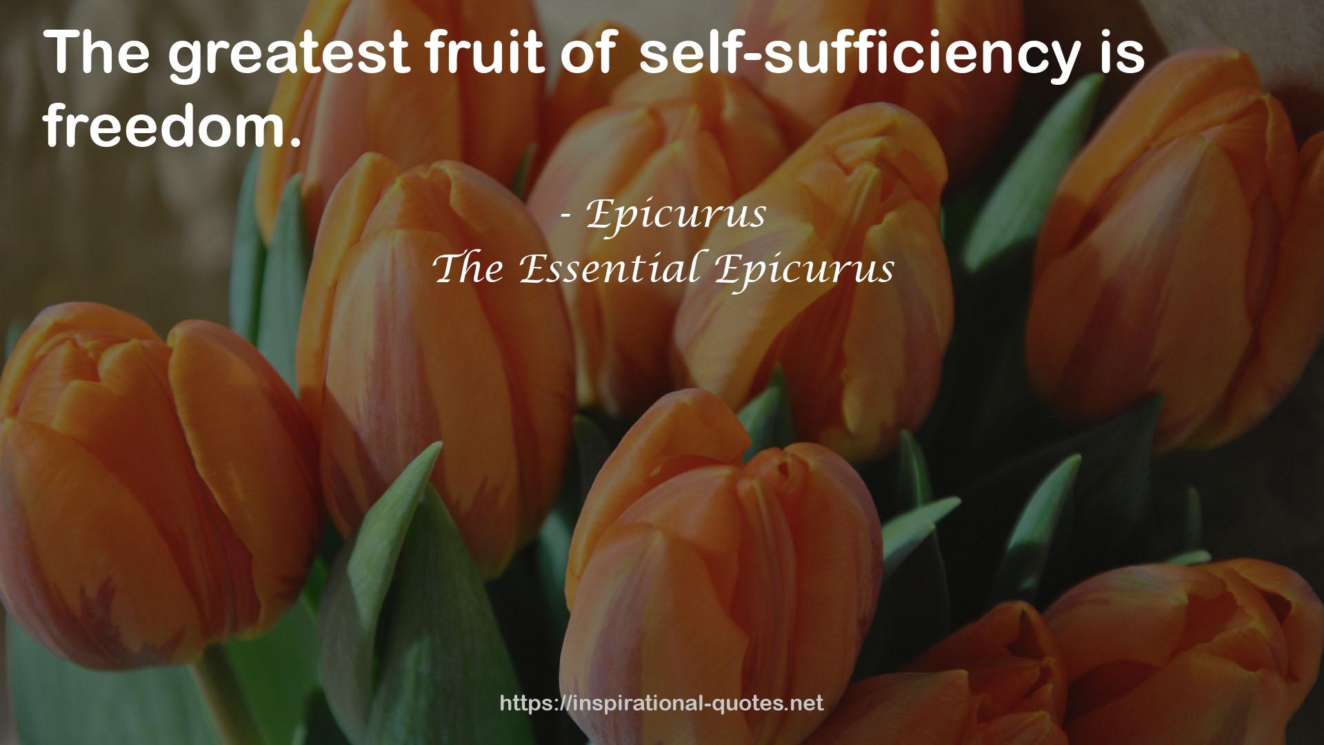 The Essential Epicurus QUOTES