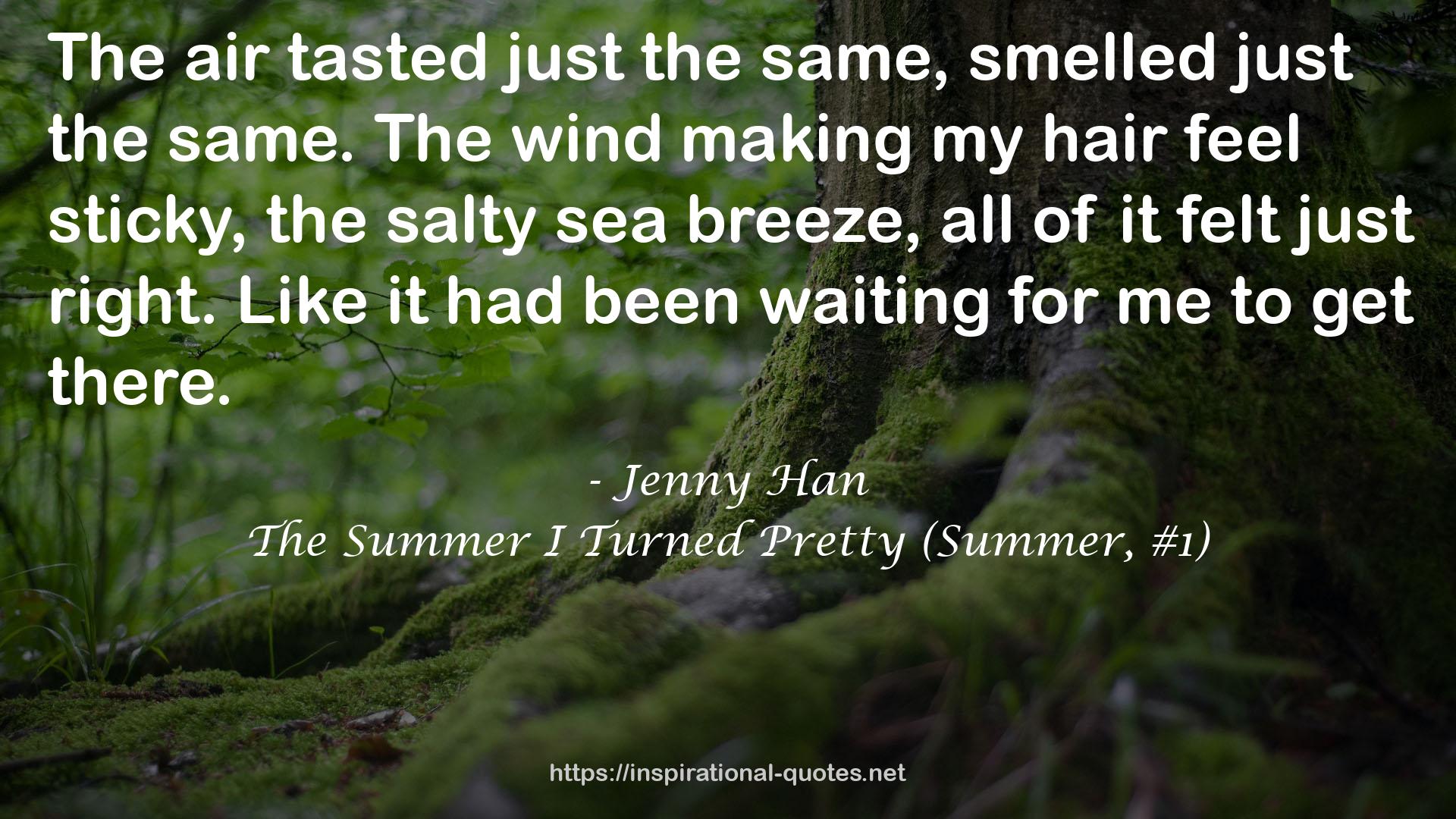 The Summer I Turned Pretty (Summer, #1) QUOTES