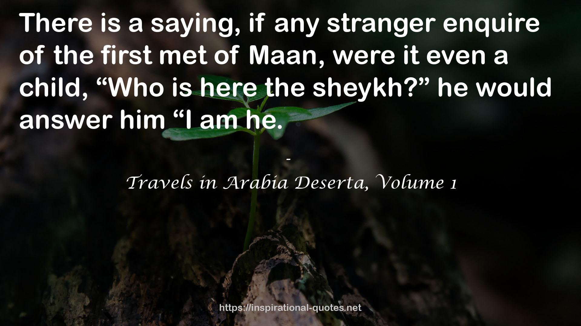 Travels in Arabia Deserta, Volume 1 QUOTES