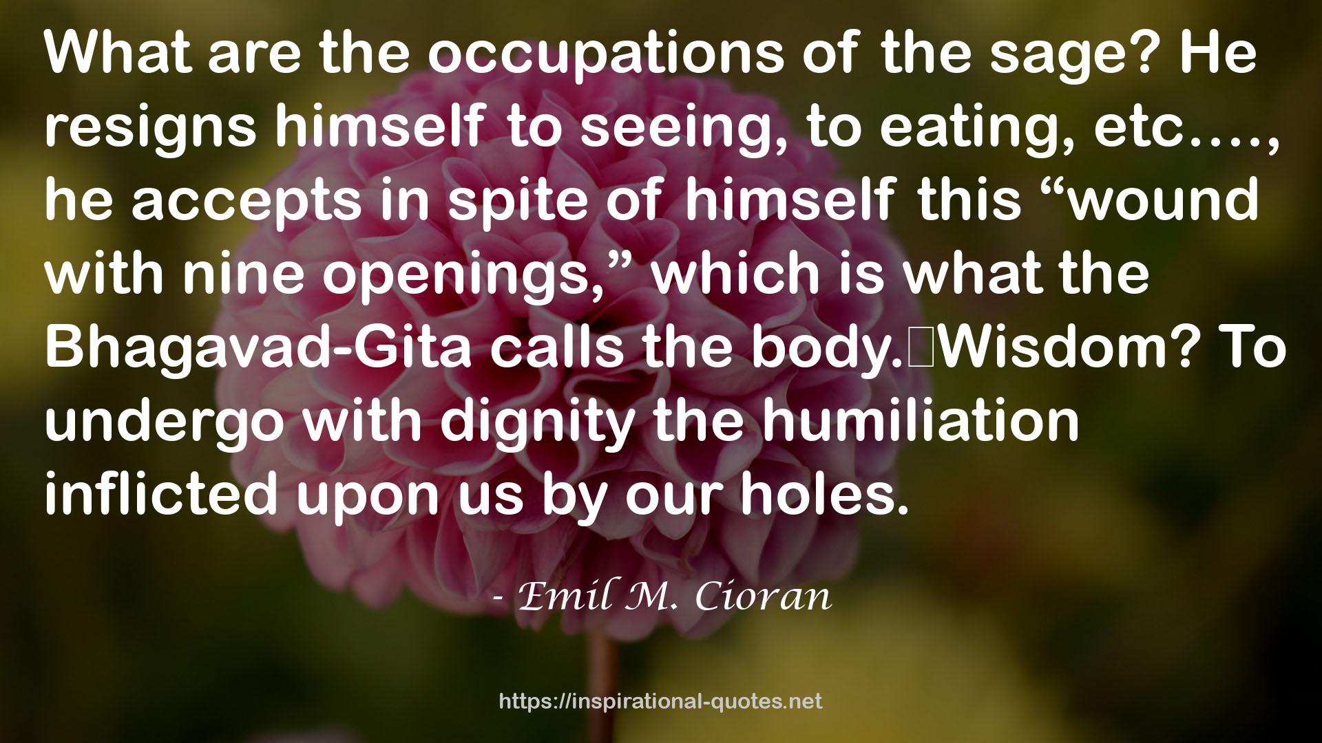 the Bhagavad-Gita  QUOTES