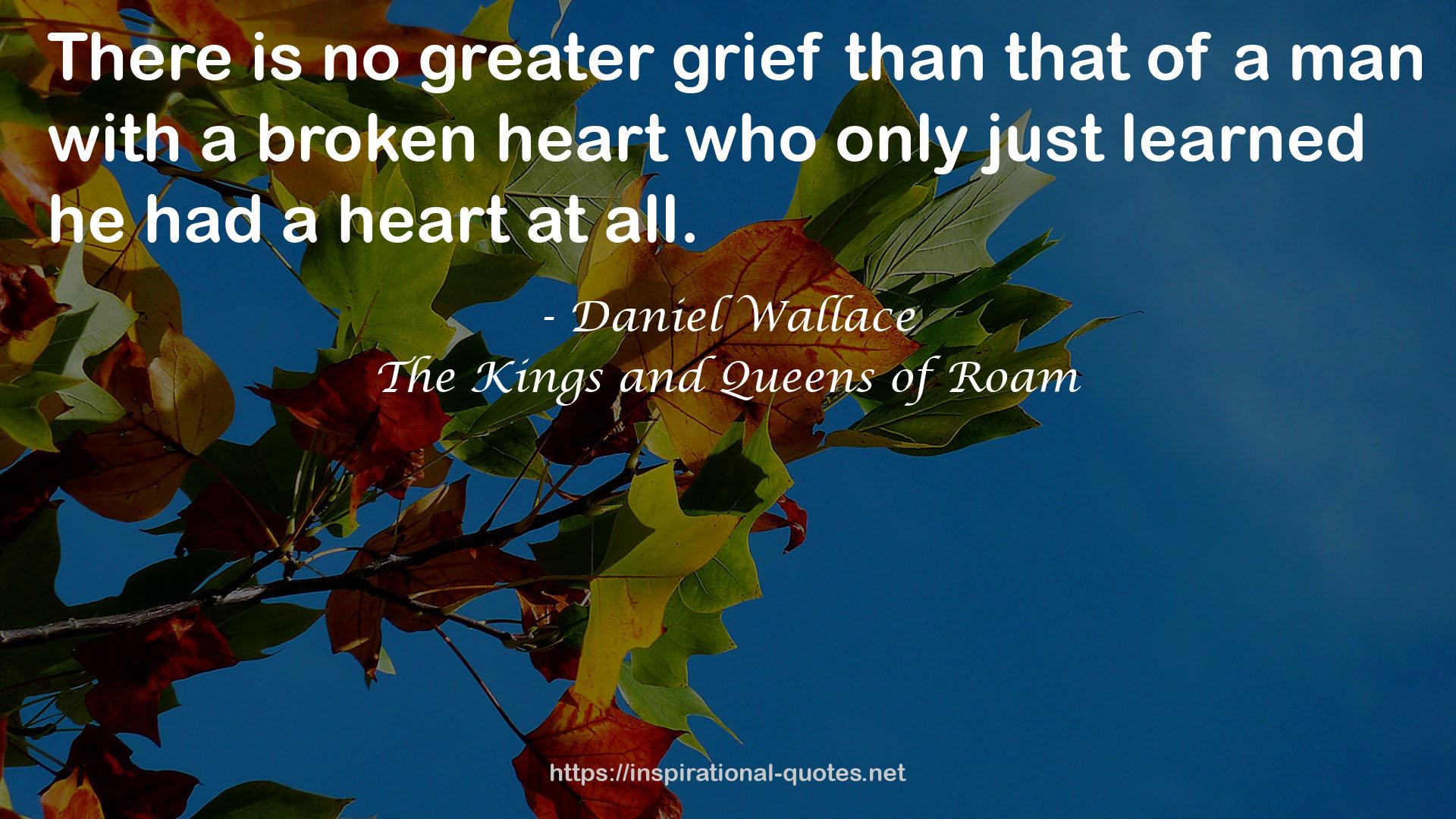 Daniel Wallace QUOTES