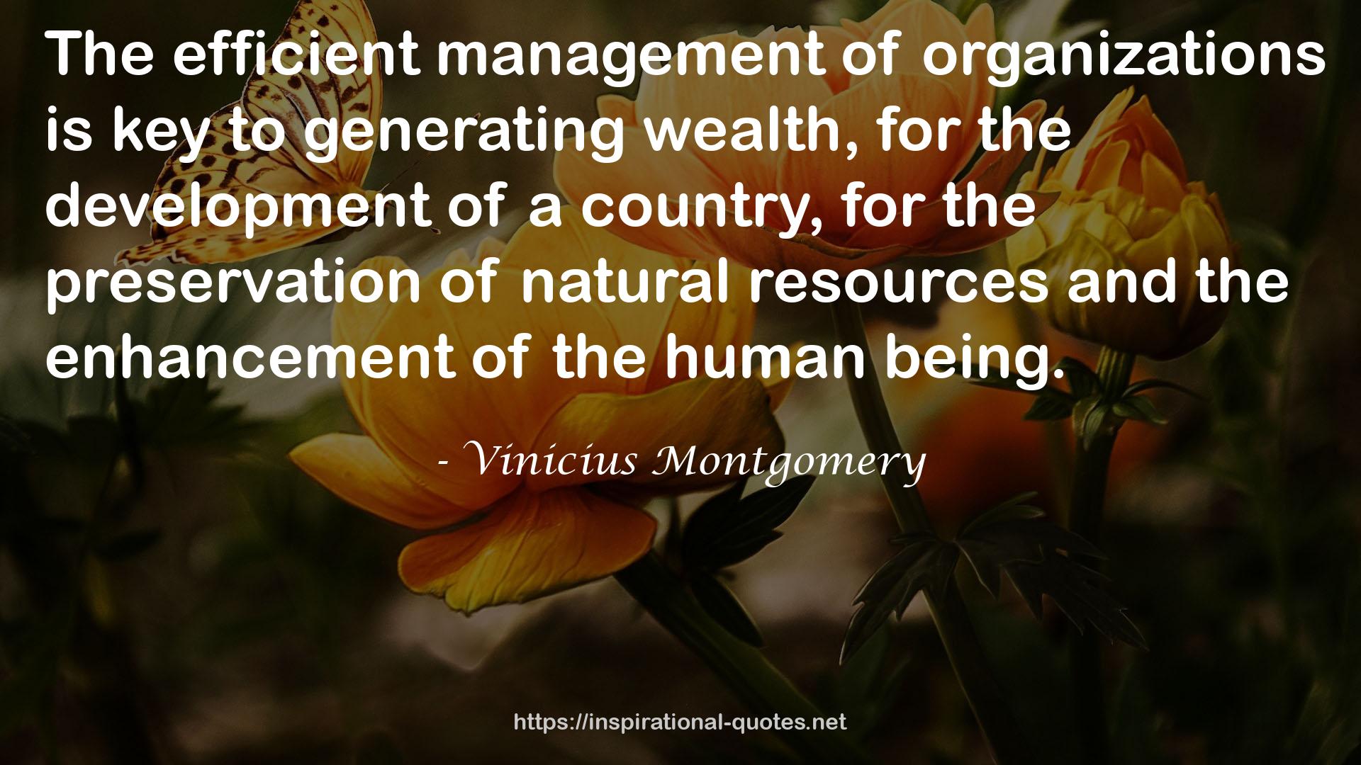 Vinicius Montgomery QUOTES