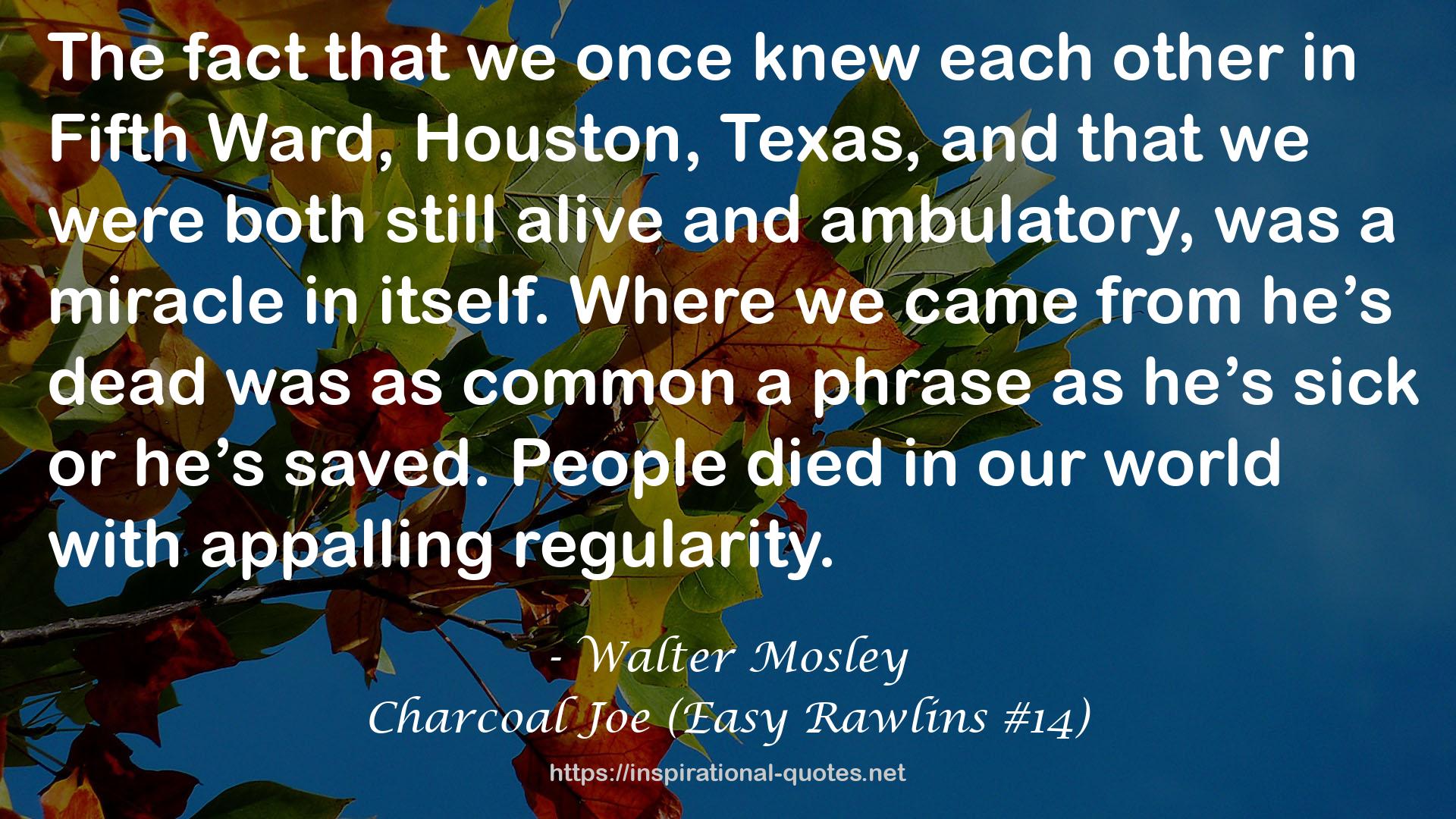 Walter Mosley QUOTES
