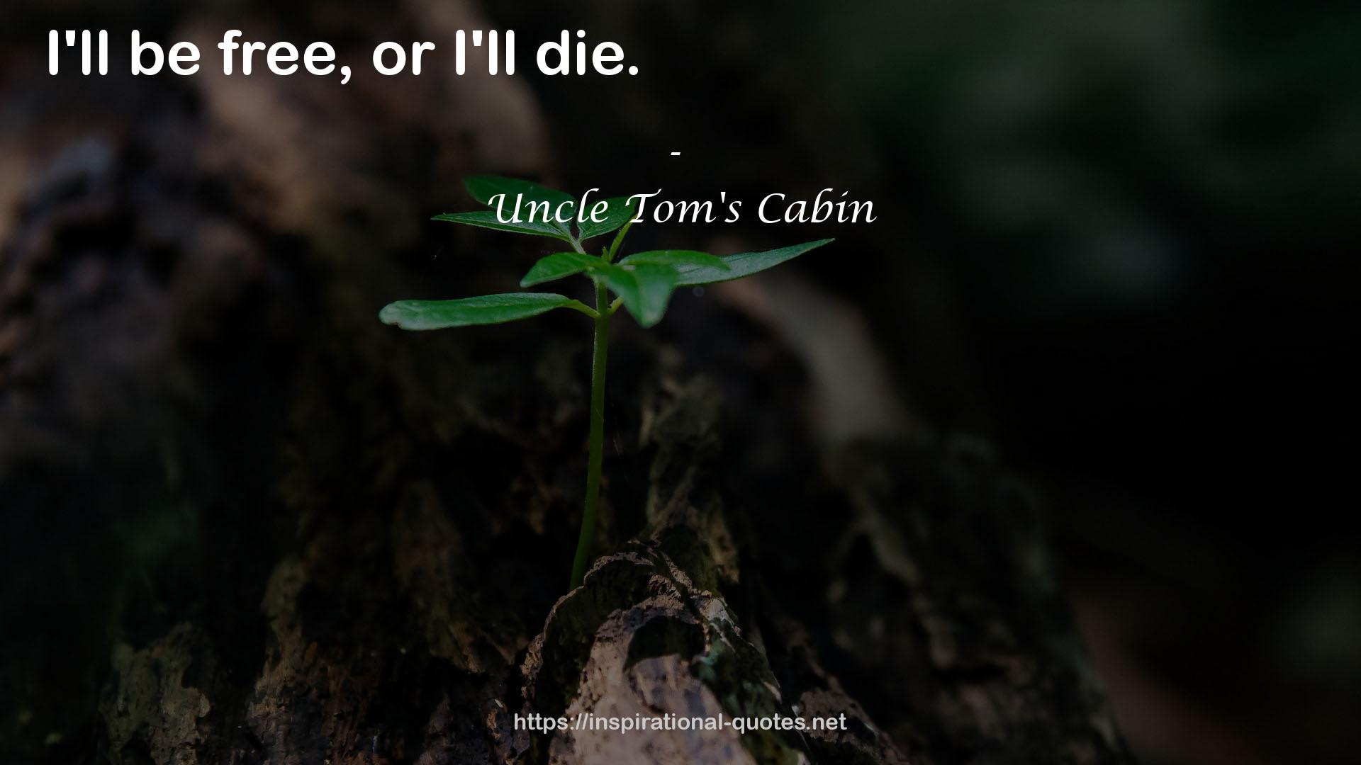 Uncle Tom's Cabin QUOTES