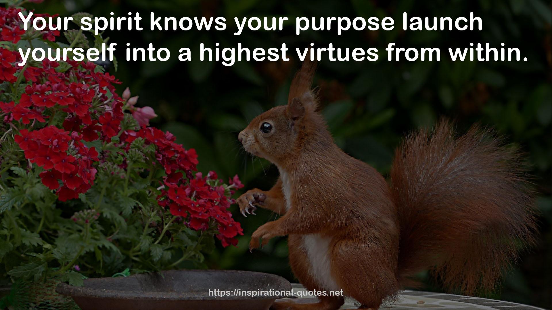 a highest virtues  QUOTES