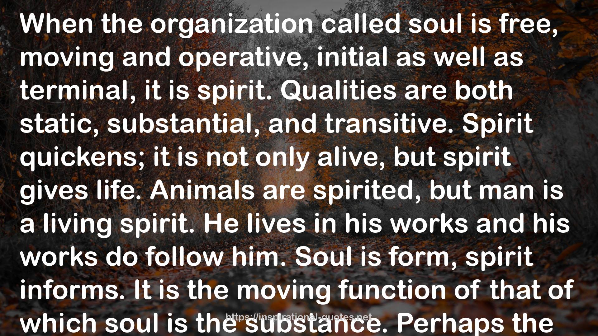 the organization  QUOTES