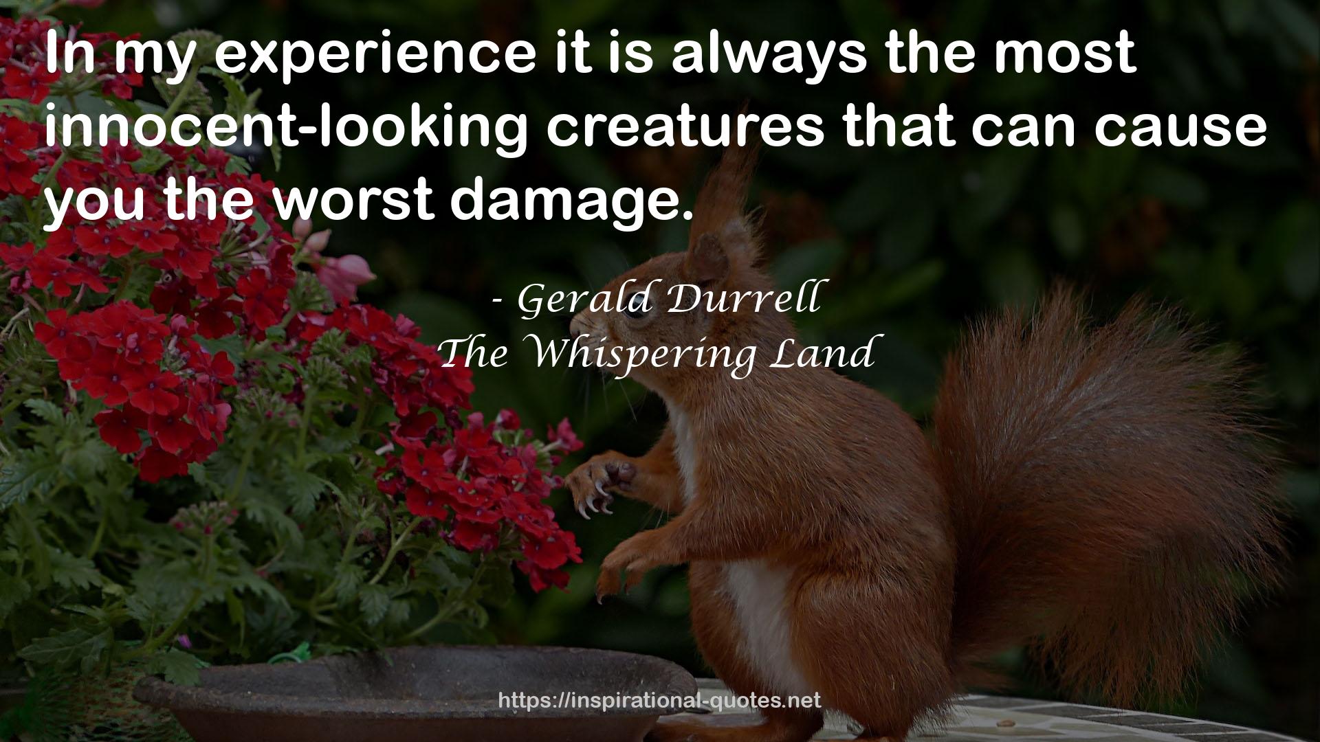 The Whispering Land QUOTES